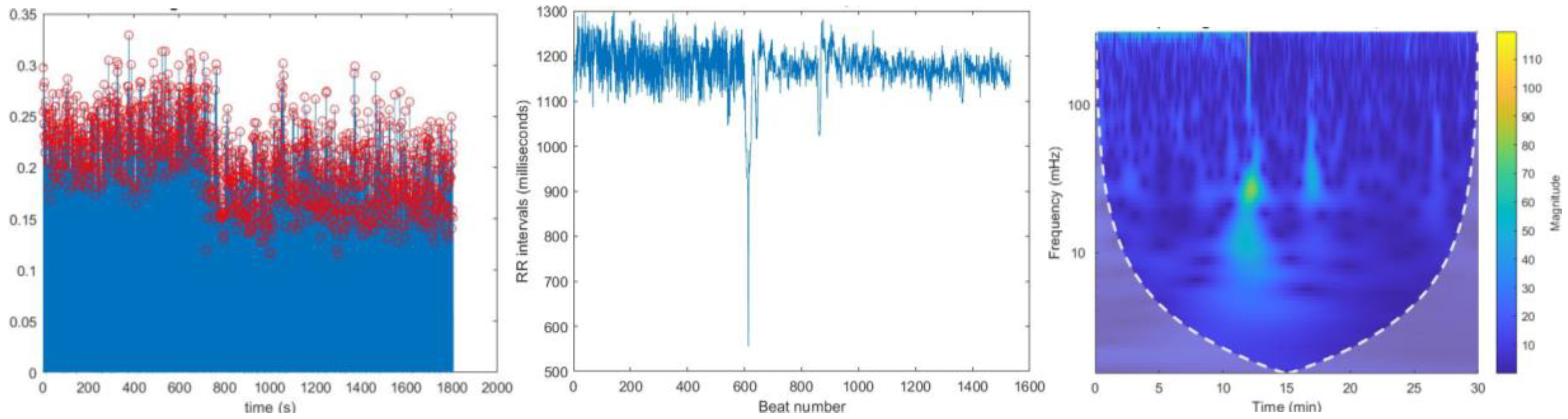 Preprints 146006 g010