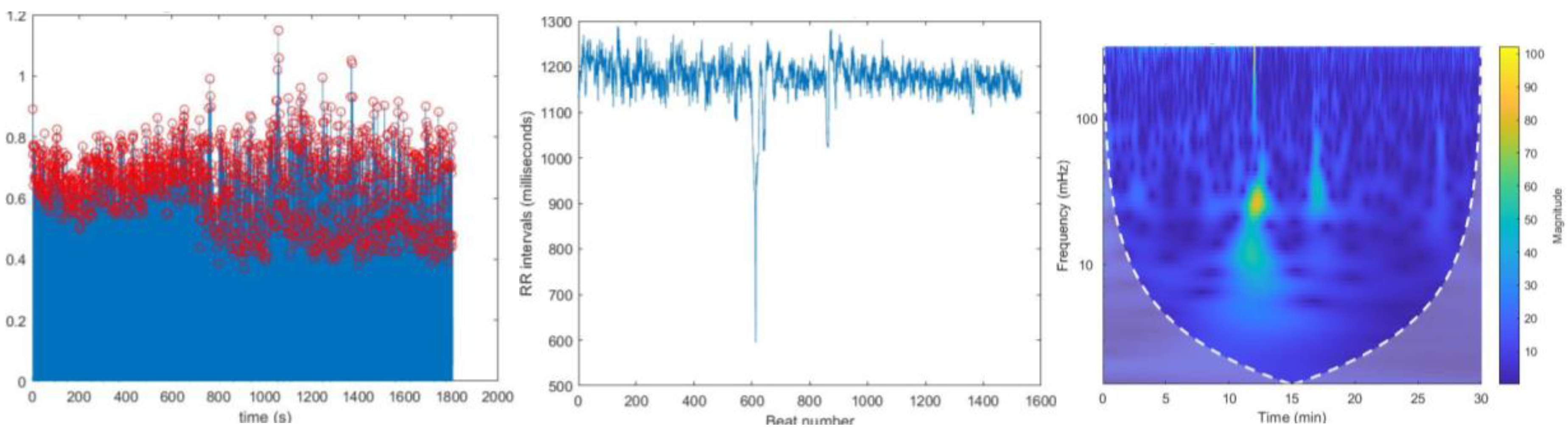 Preprints 146006 g011