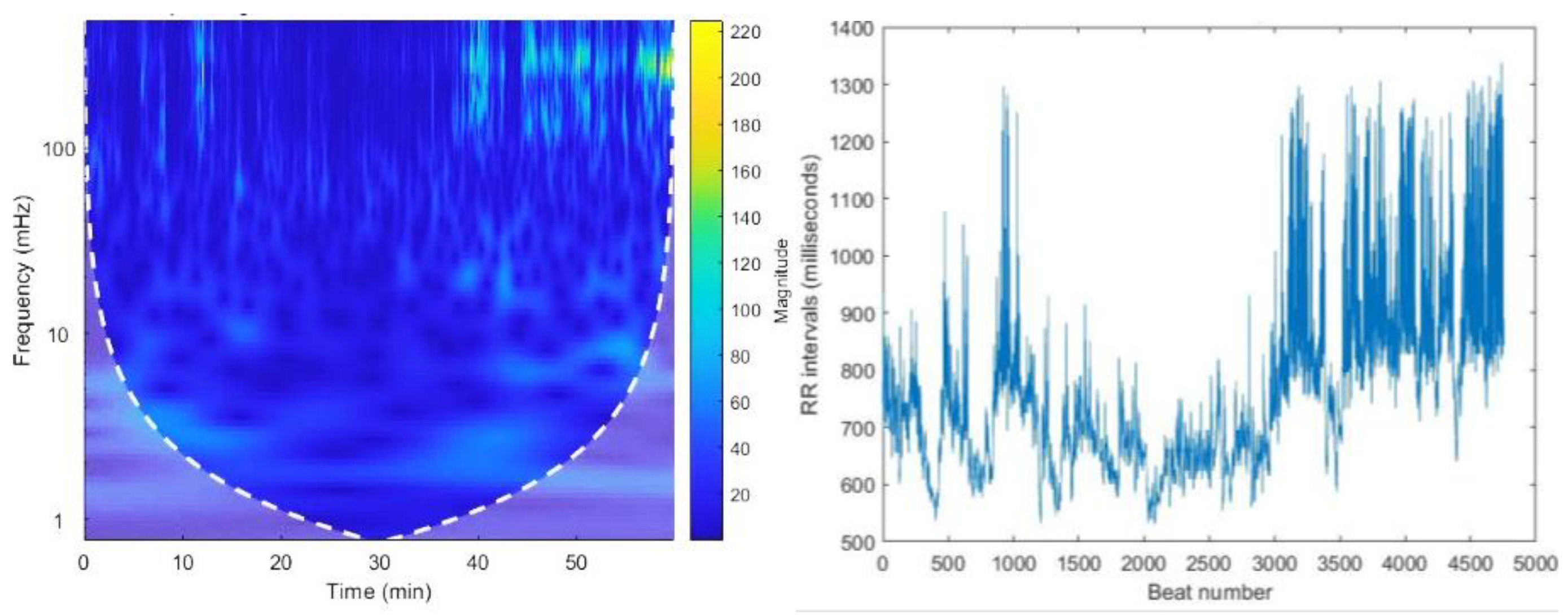 Preprints 146006 g019