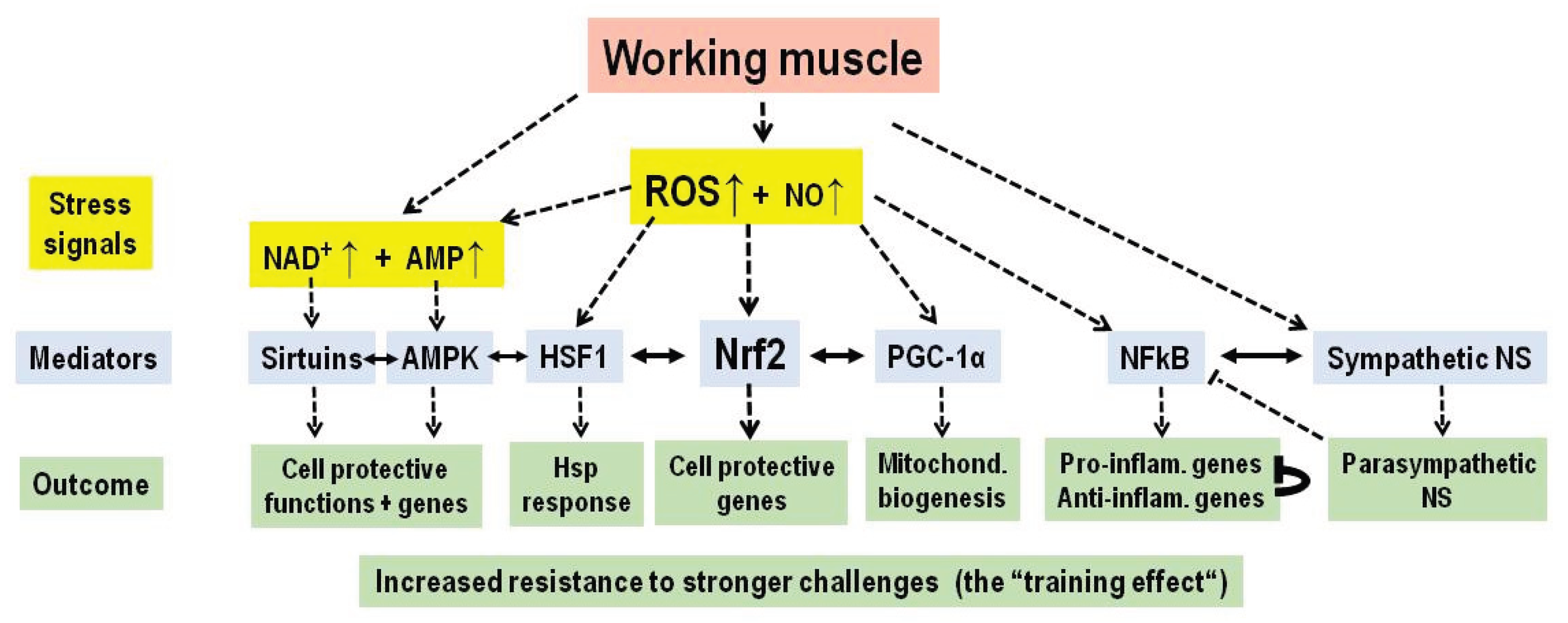 Preprints 184152 g003