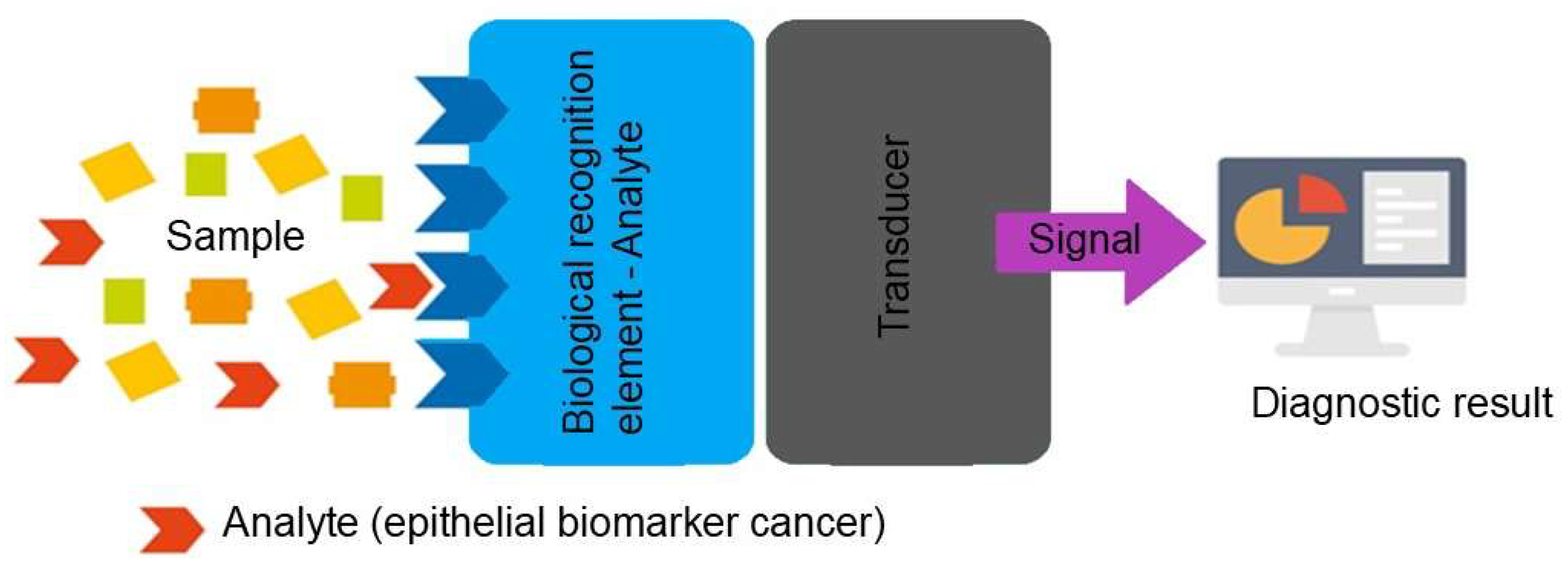 Preprints 183181 g001