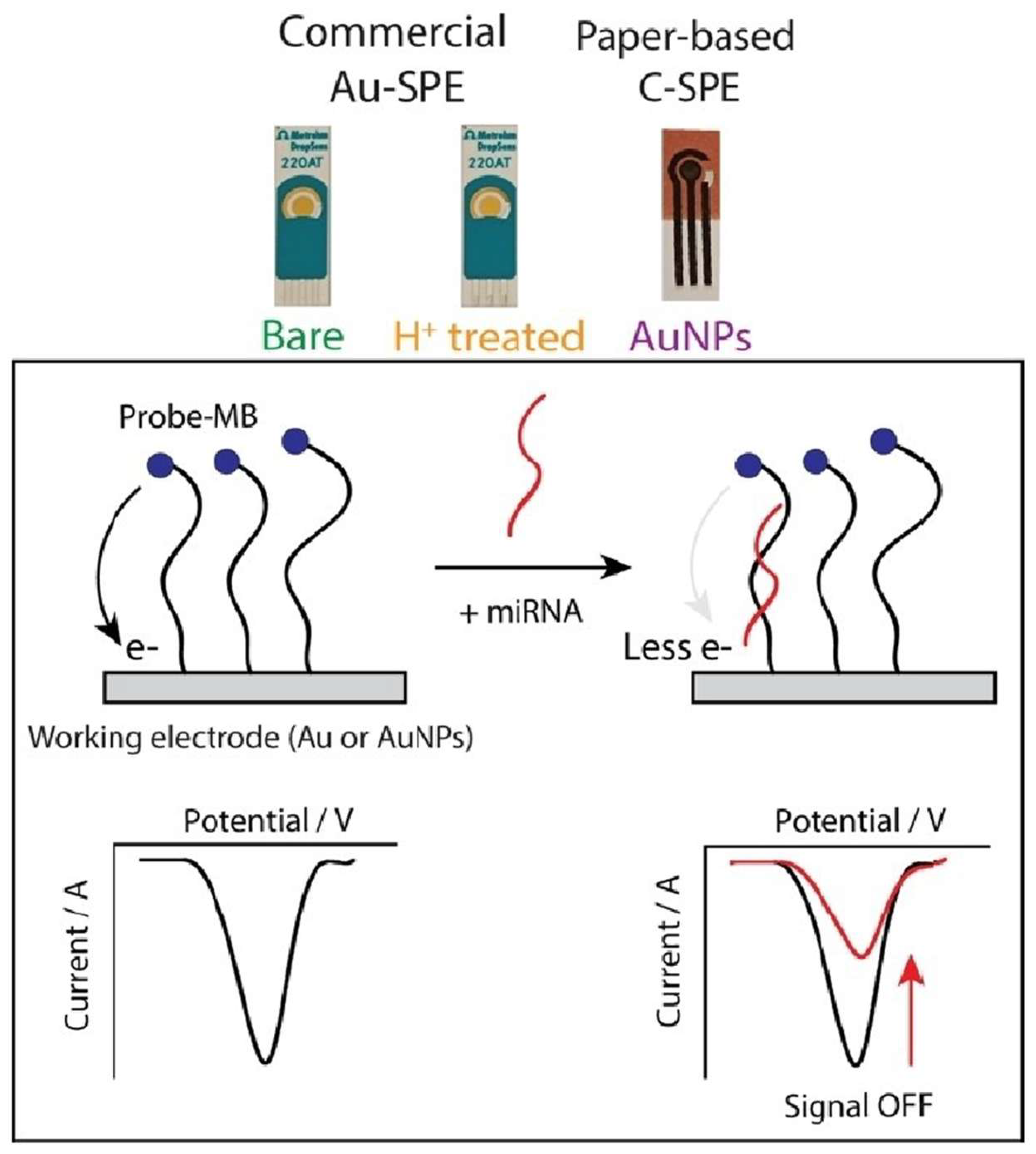 Preprints 183181 g006