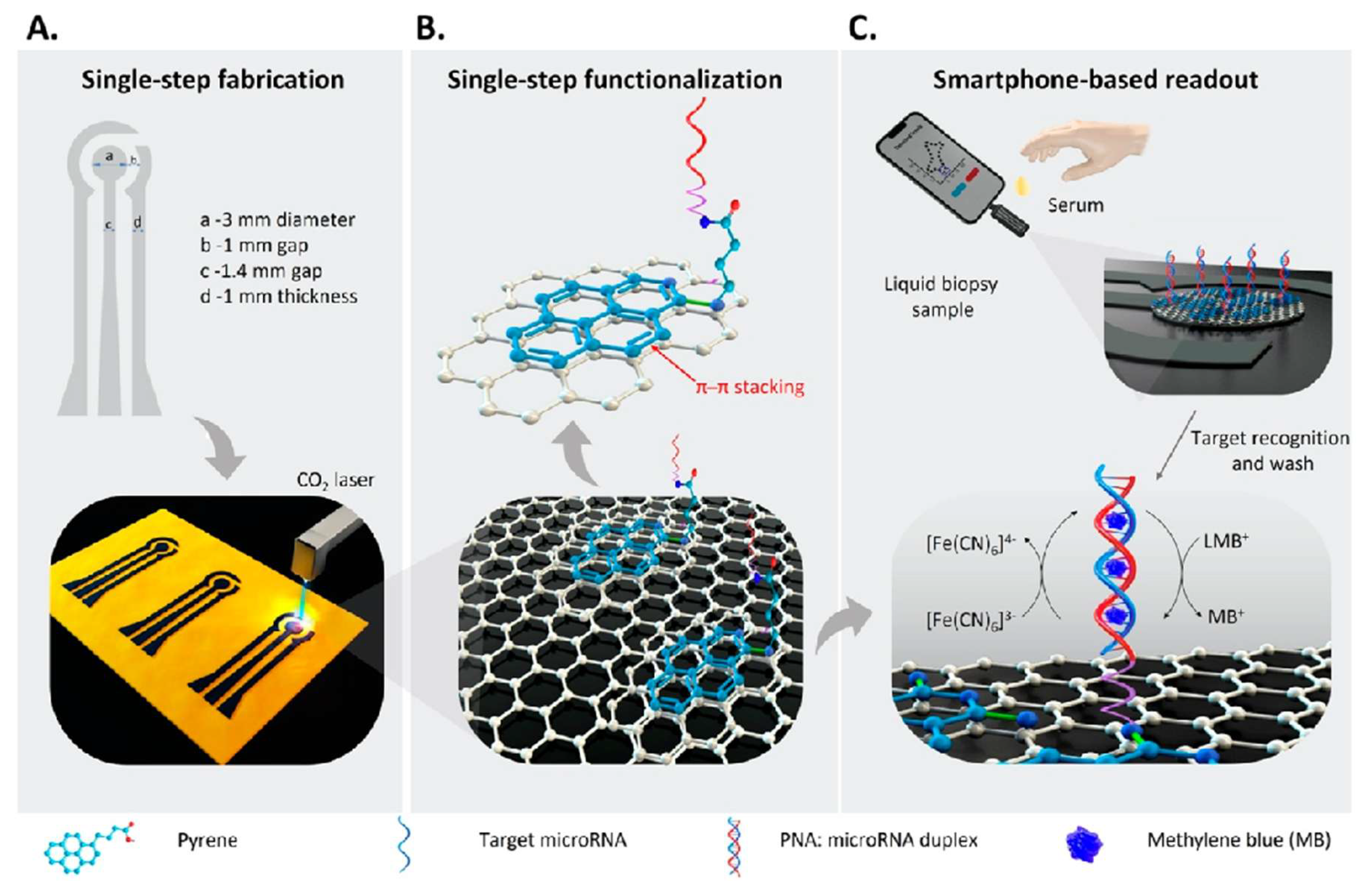 Preprints 183181 g008