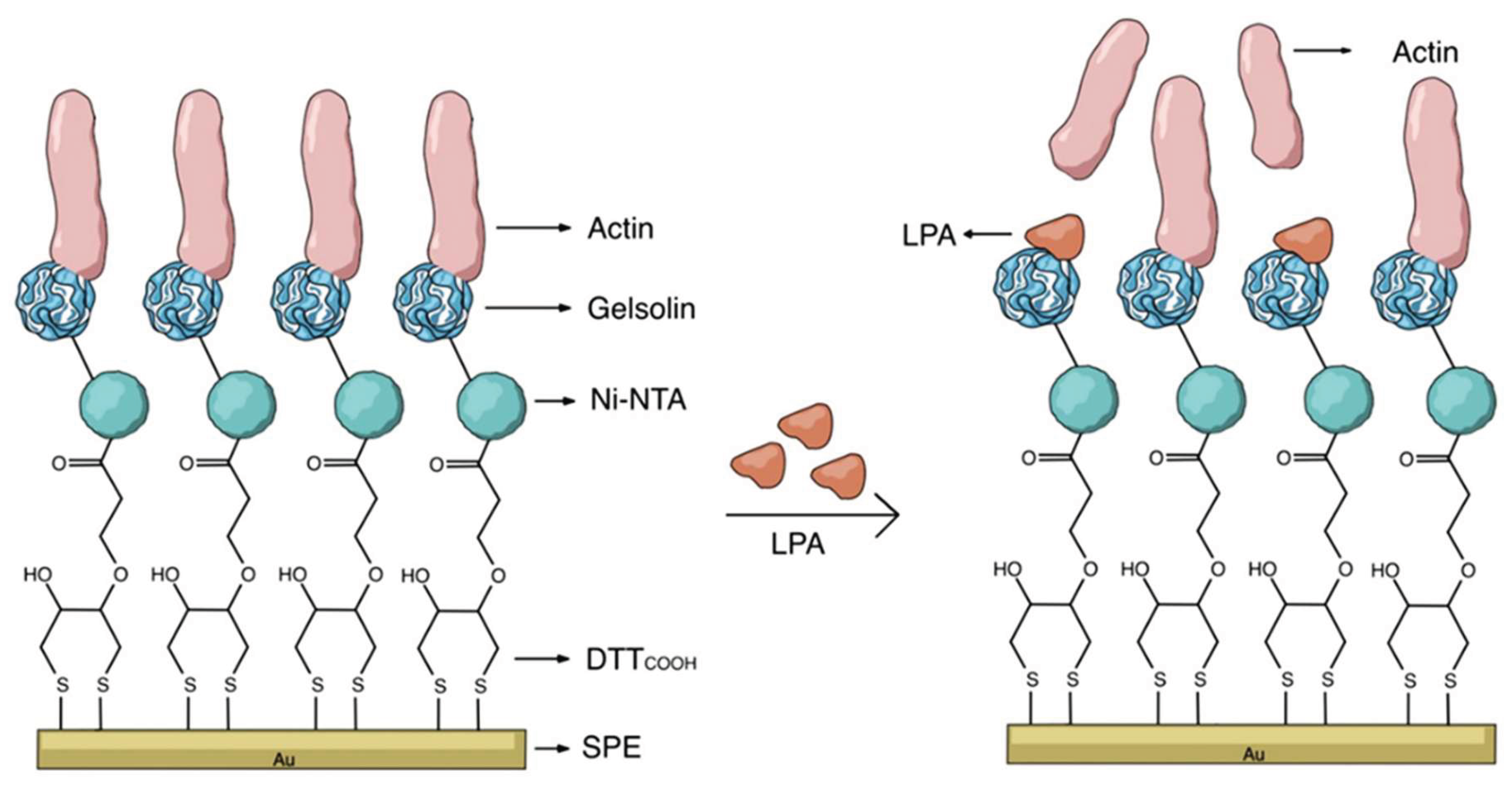 Preprints 183181 g010