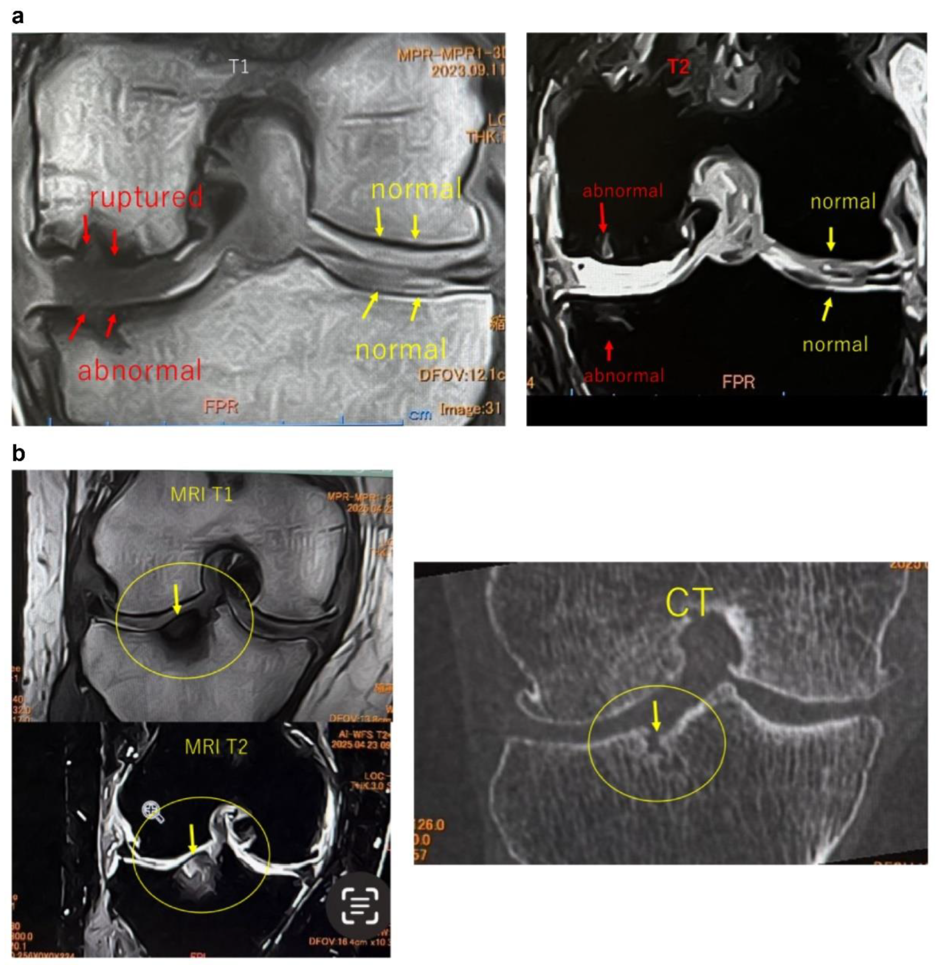 Preprints 179526 g002