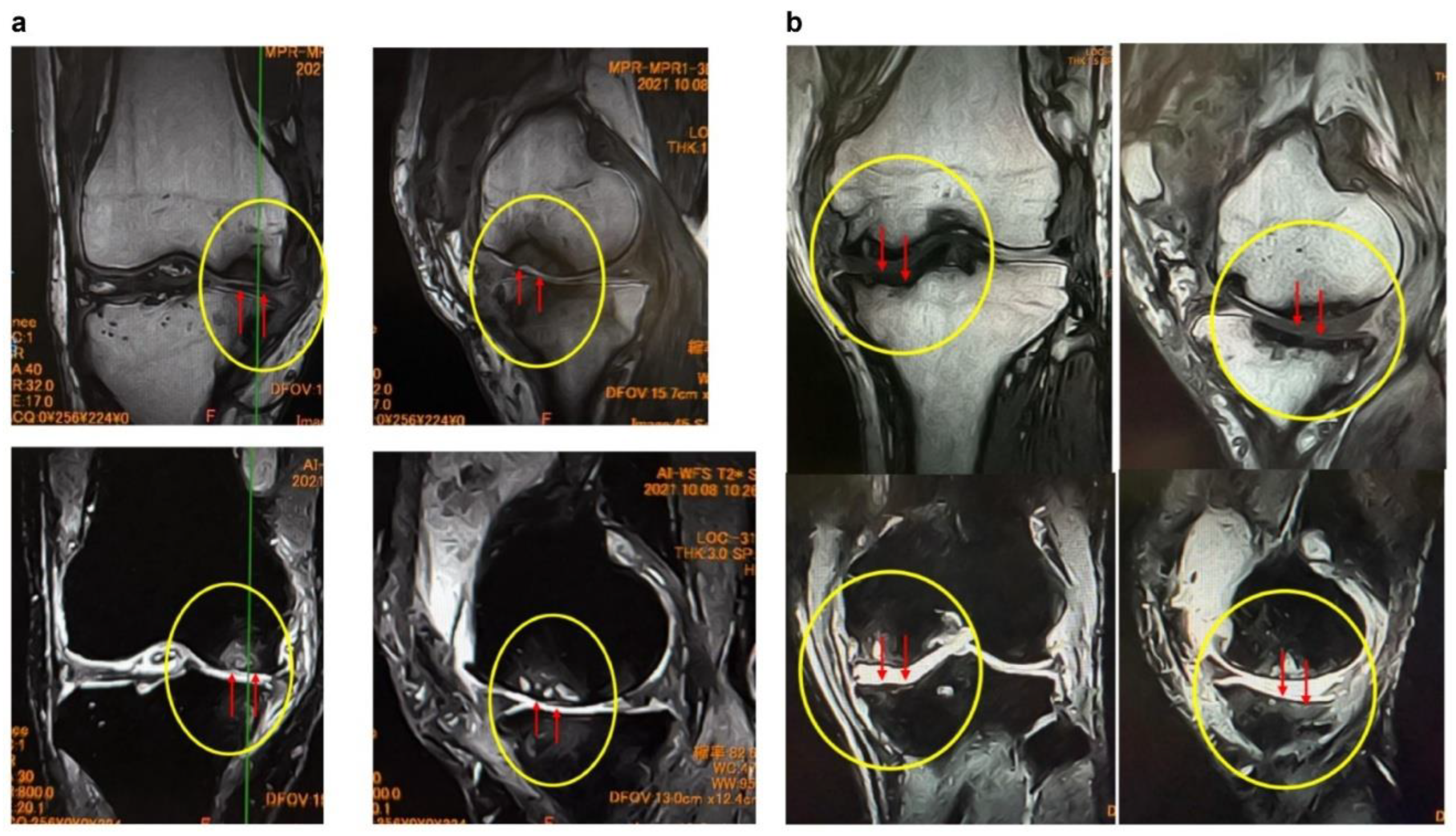 Preprints 179526 g003