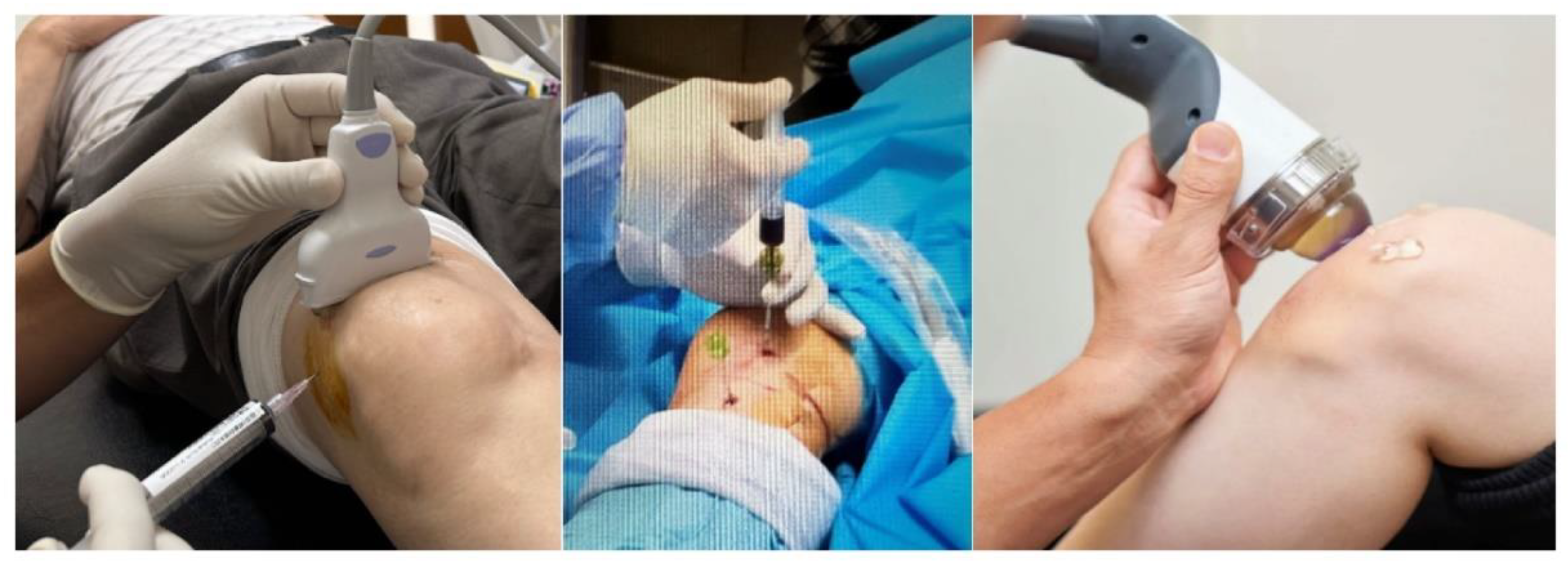 Preprints 179526 g004