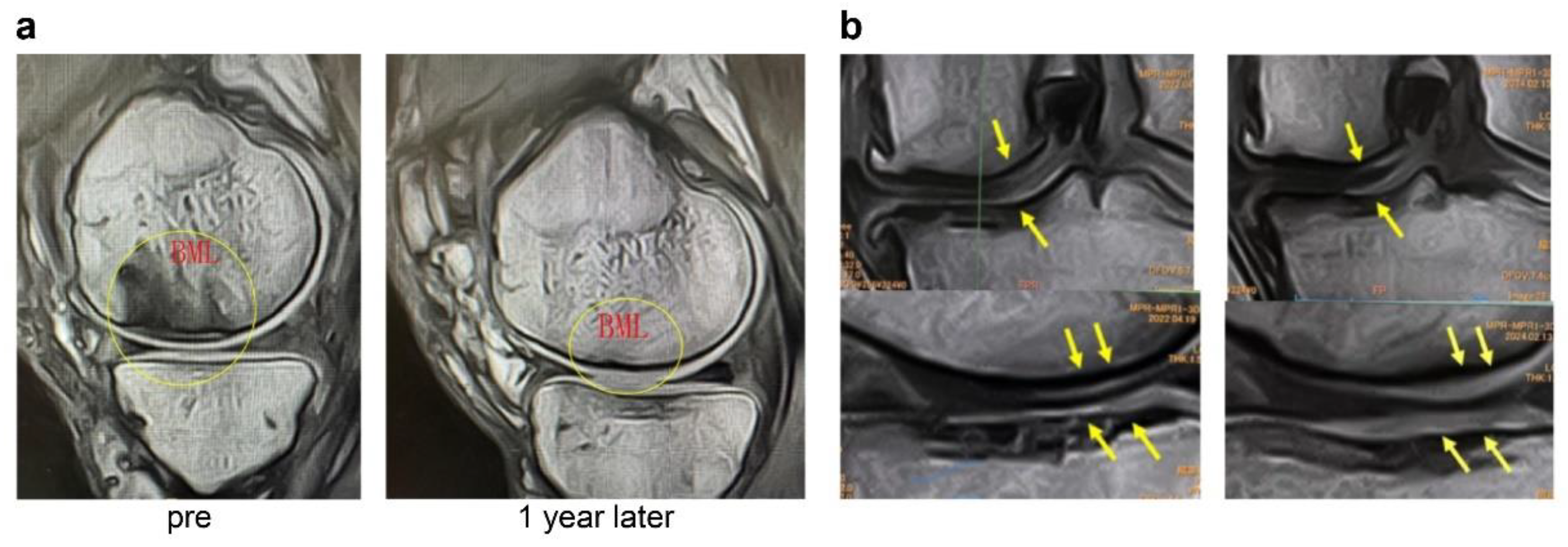Preprints 179526 g006