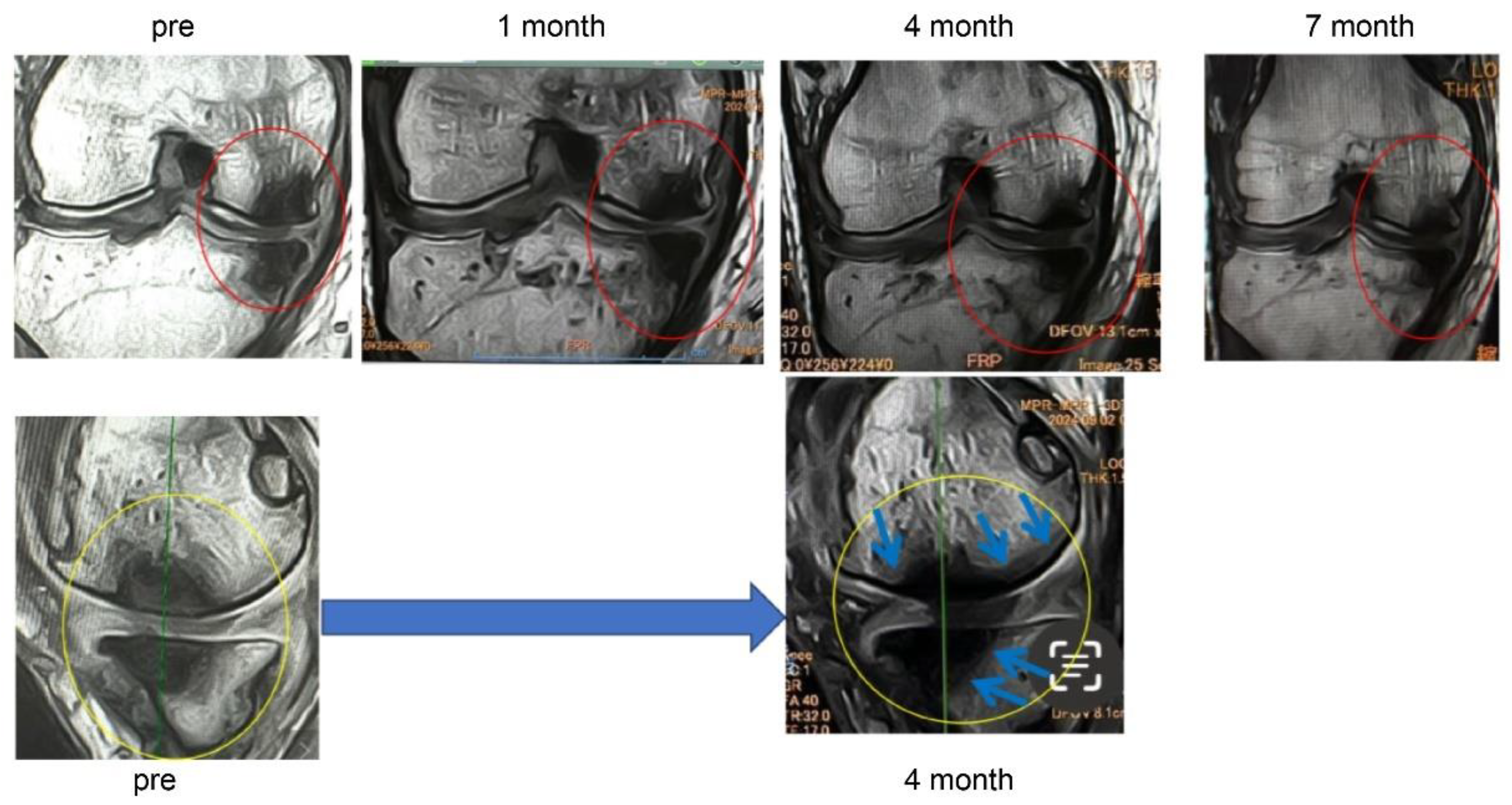Preprints 179526 g008