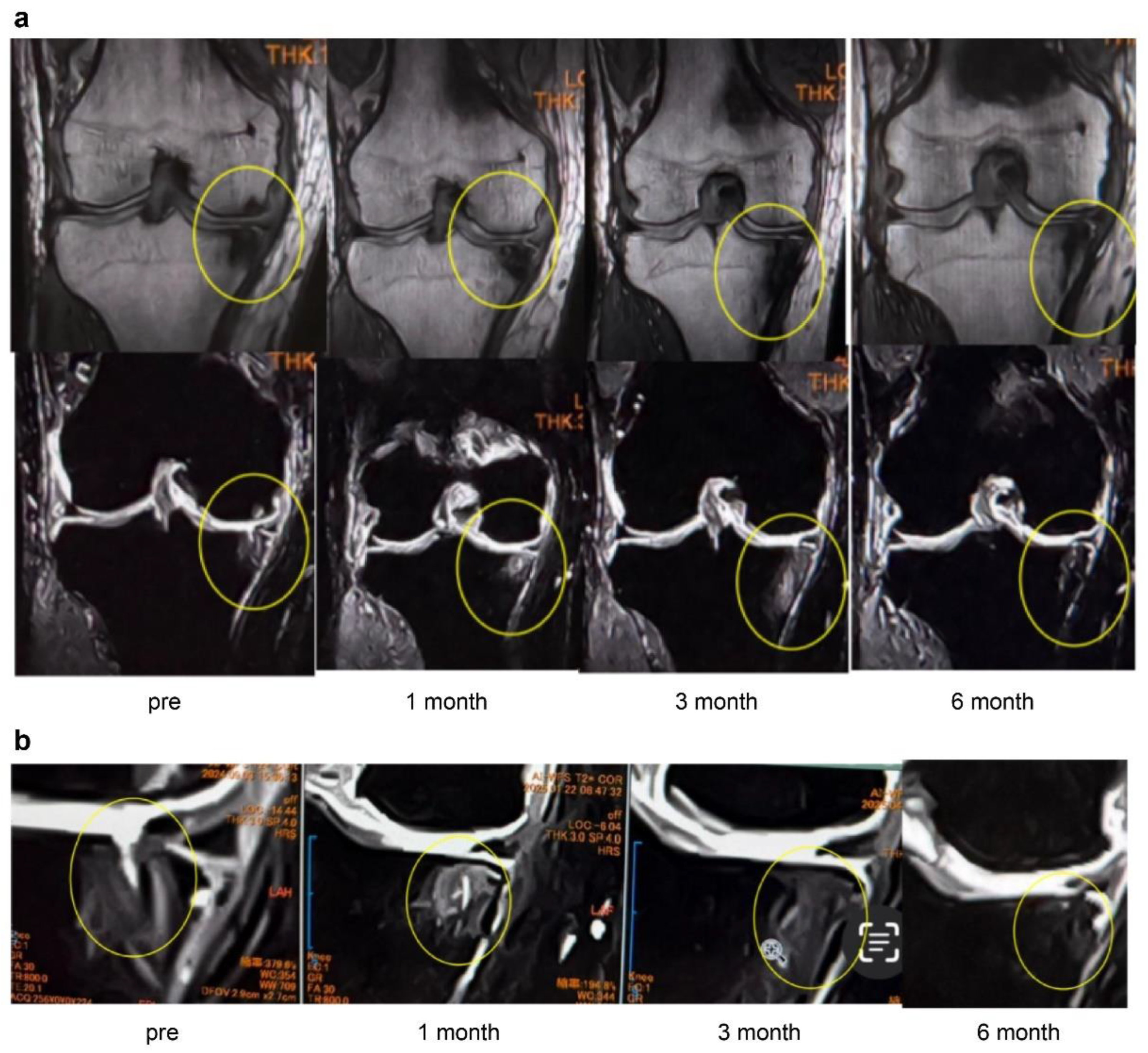 Preprints 179526 g009