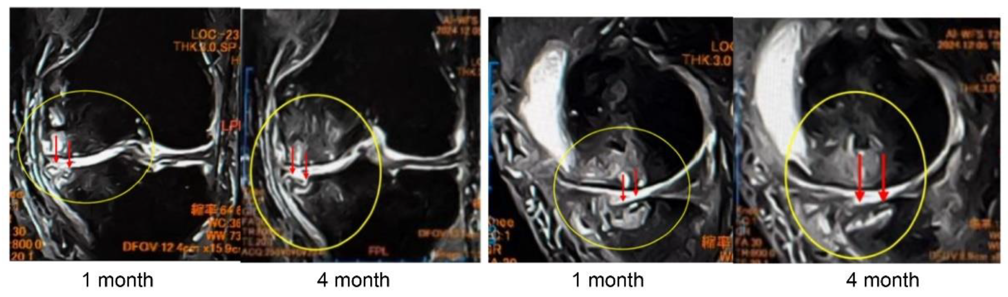 Preprints 179526 g010