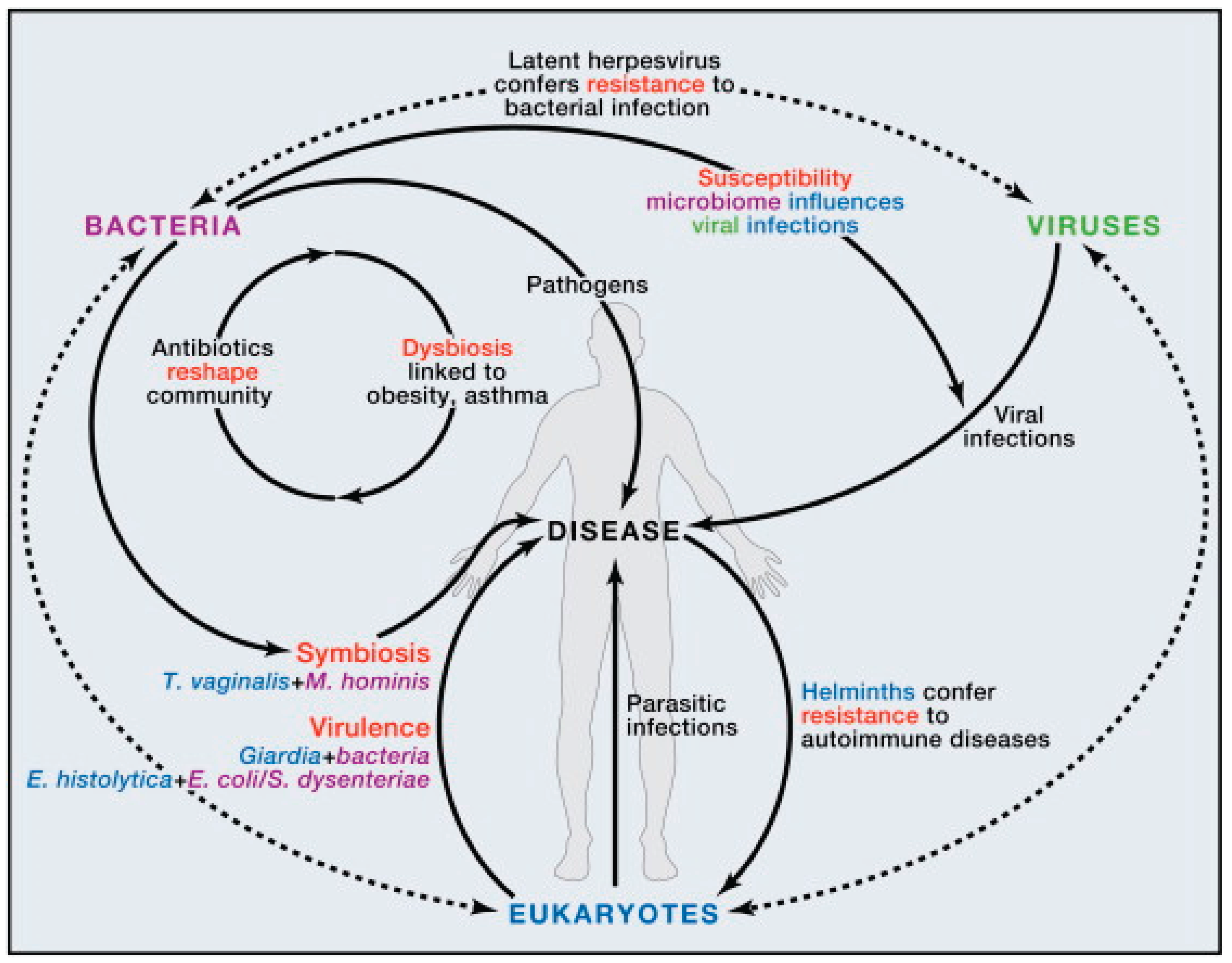 Preprints 176834 g001