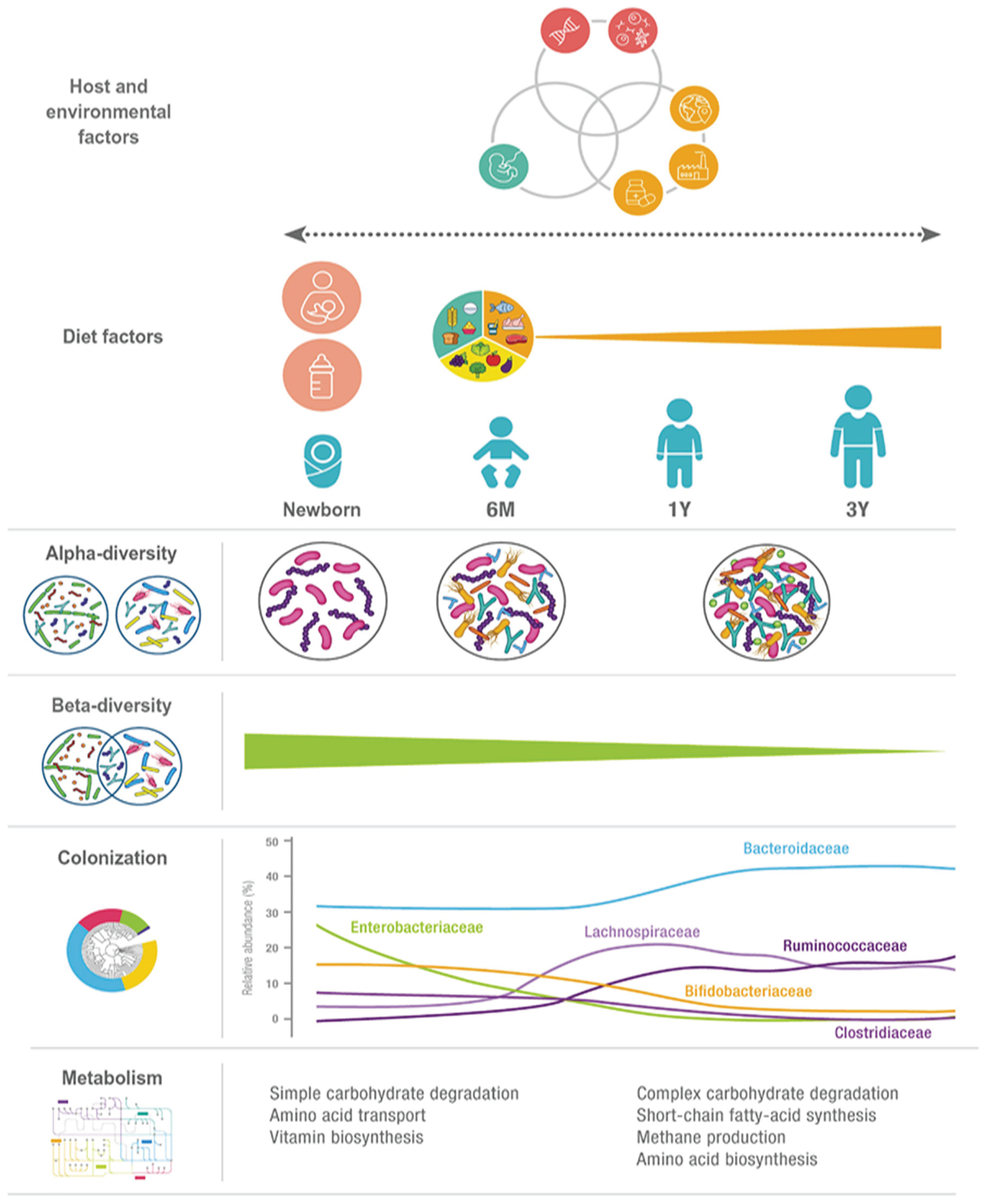 Preprints 176834 g002
