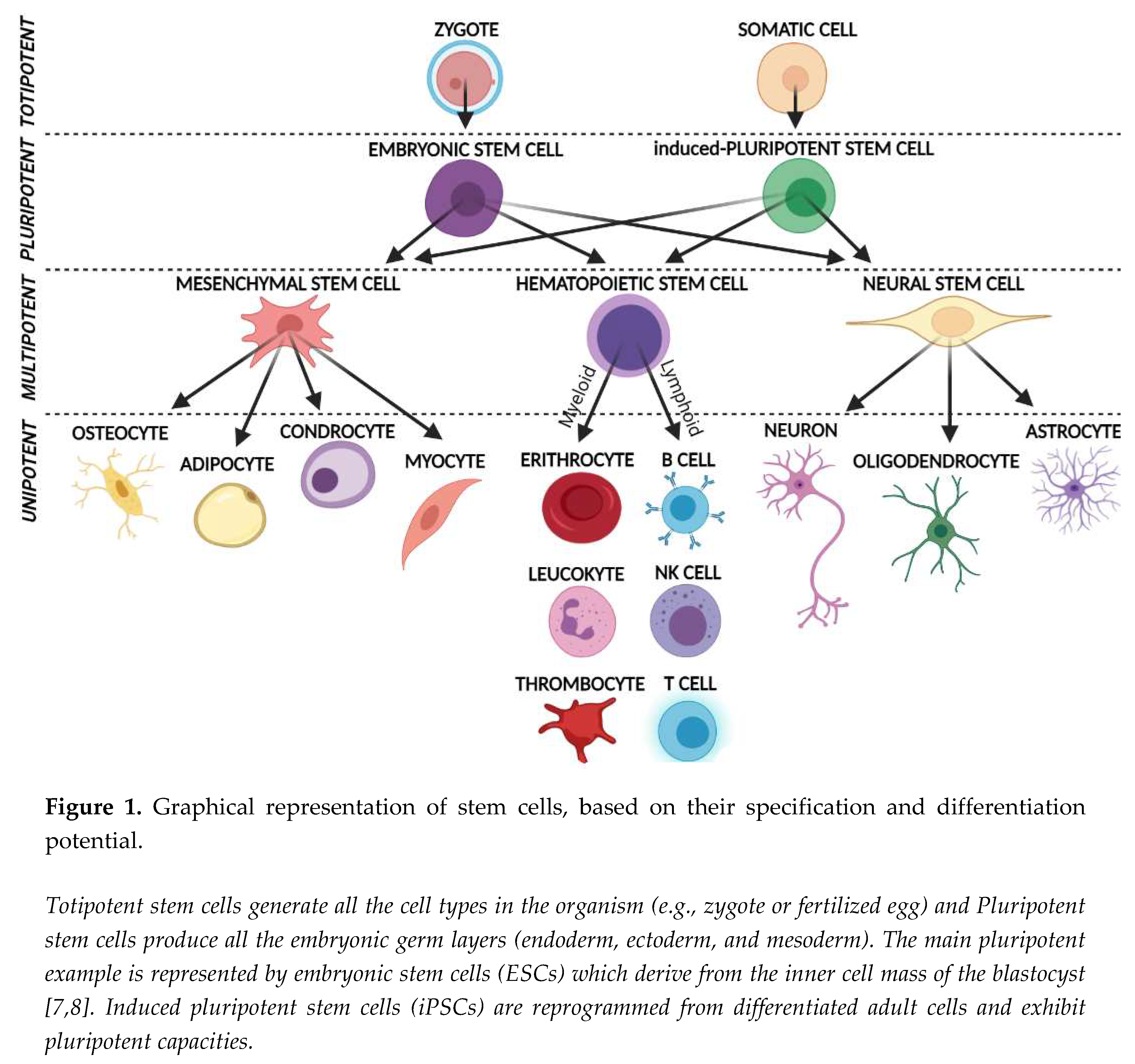 Preprints 73120 i001
