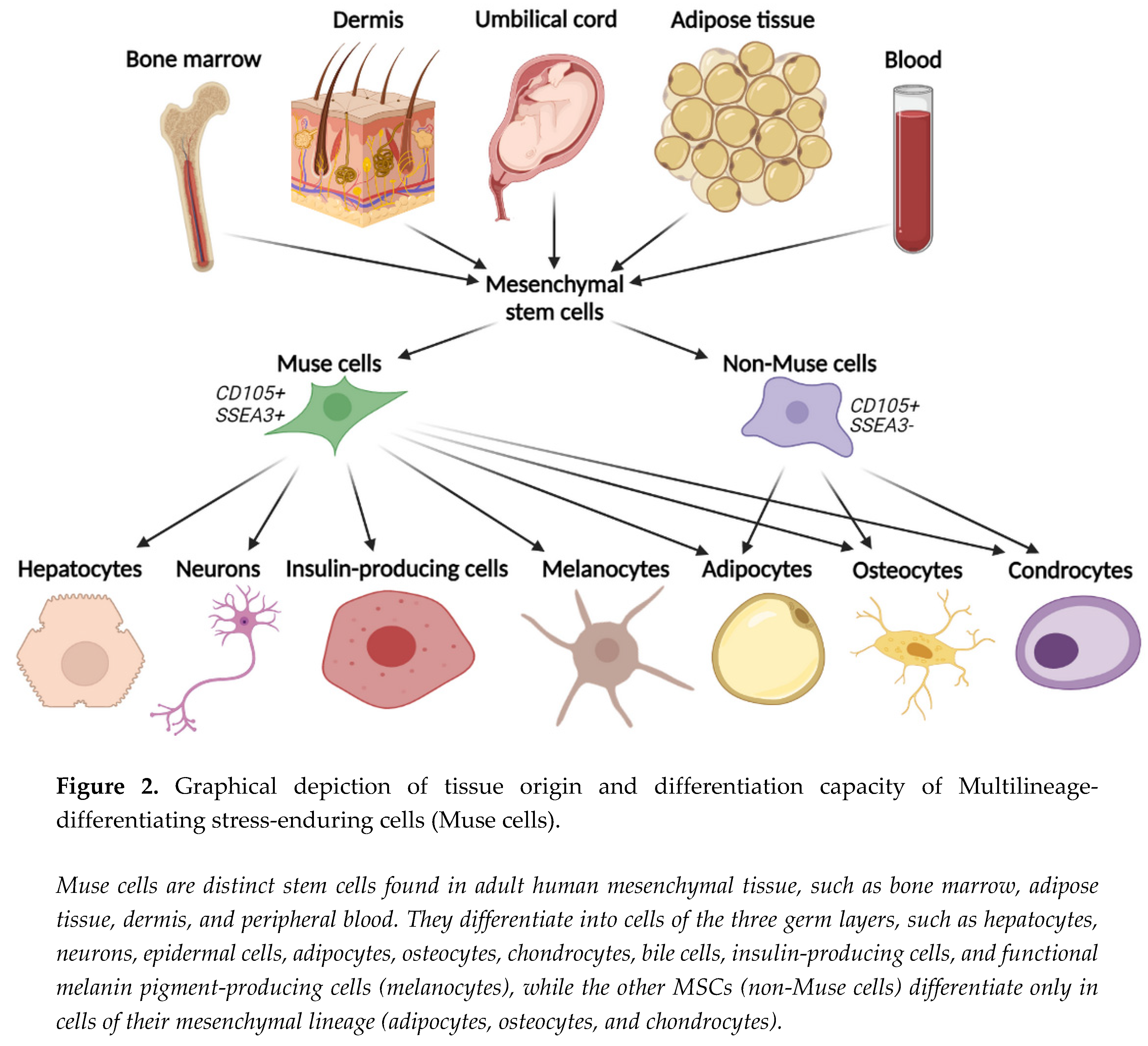 Preprints 73120 i002