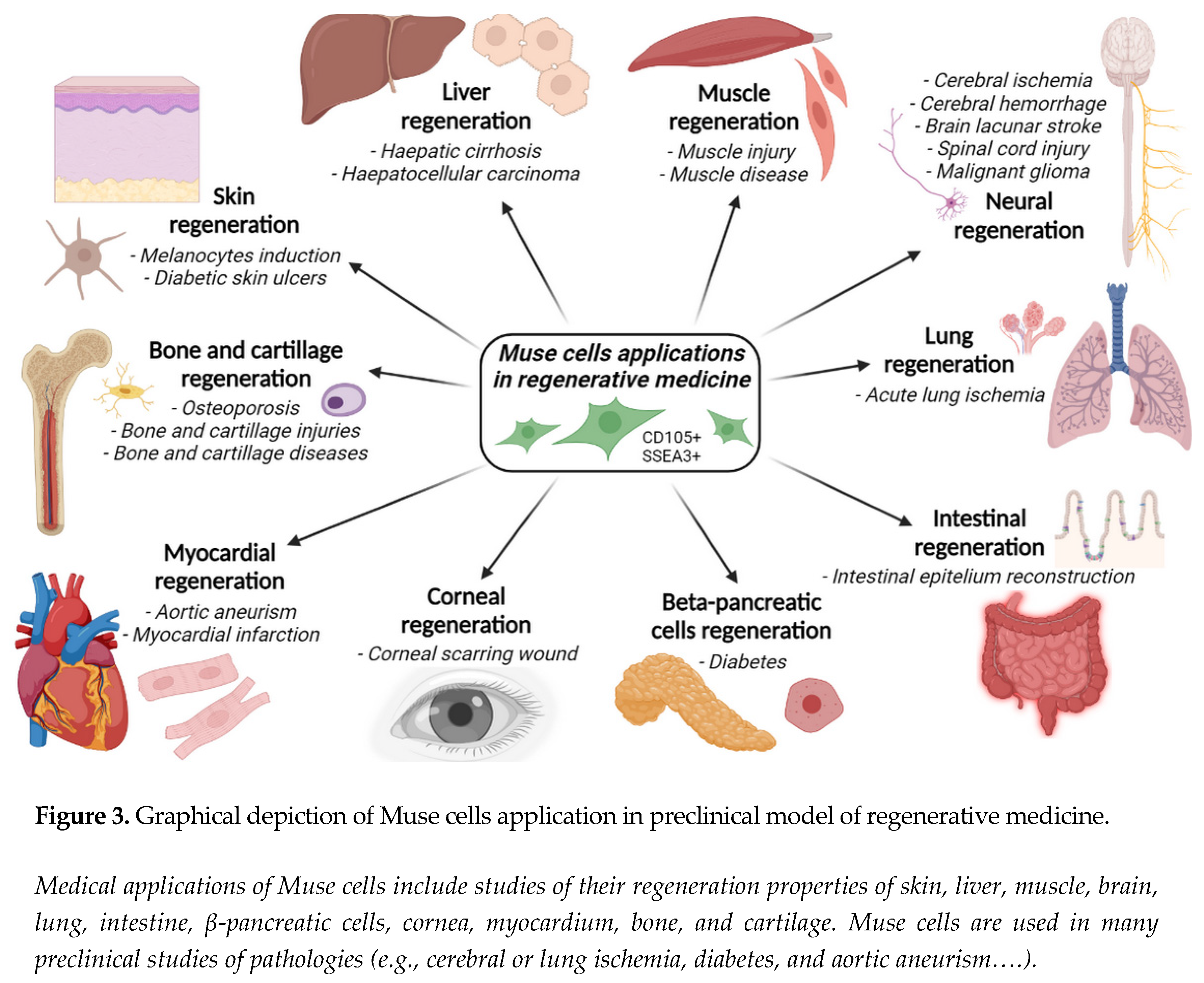 Preprints 73120 i003