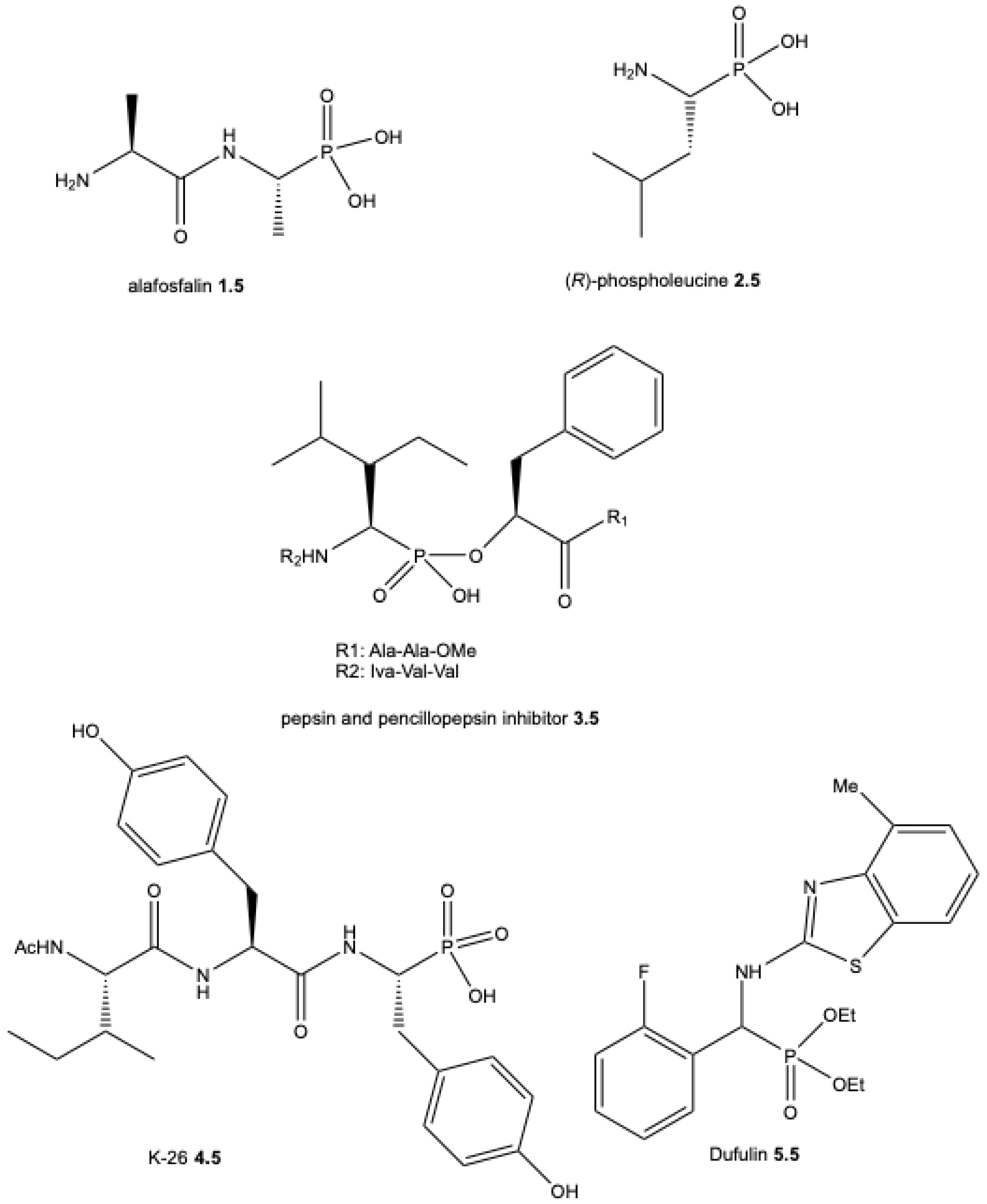 Preprints 188177 g005