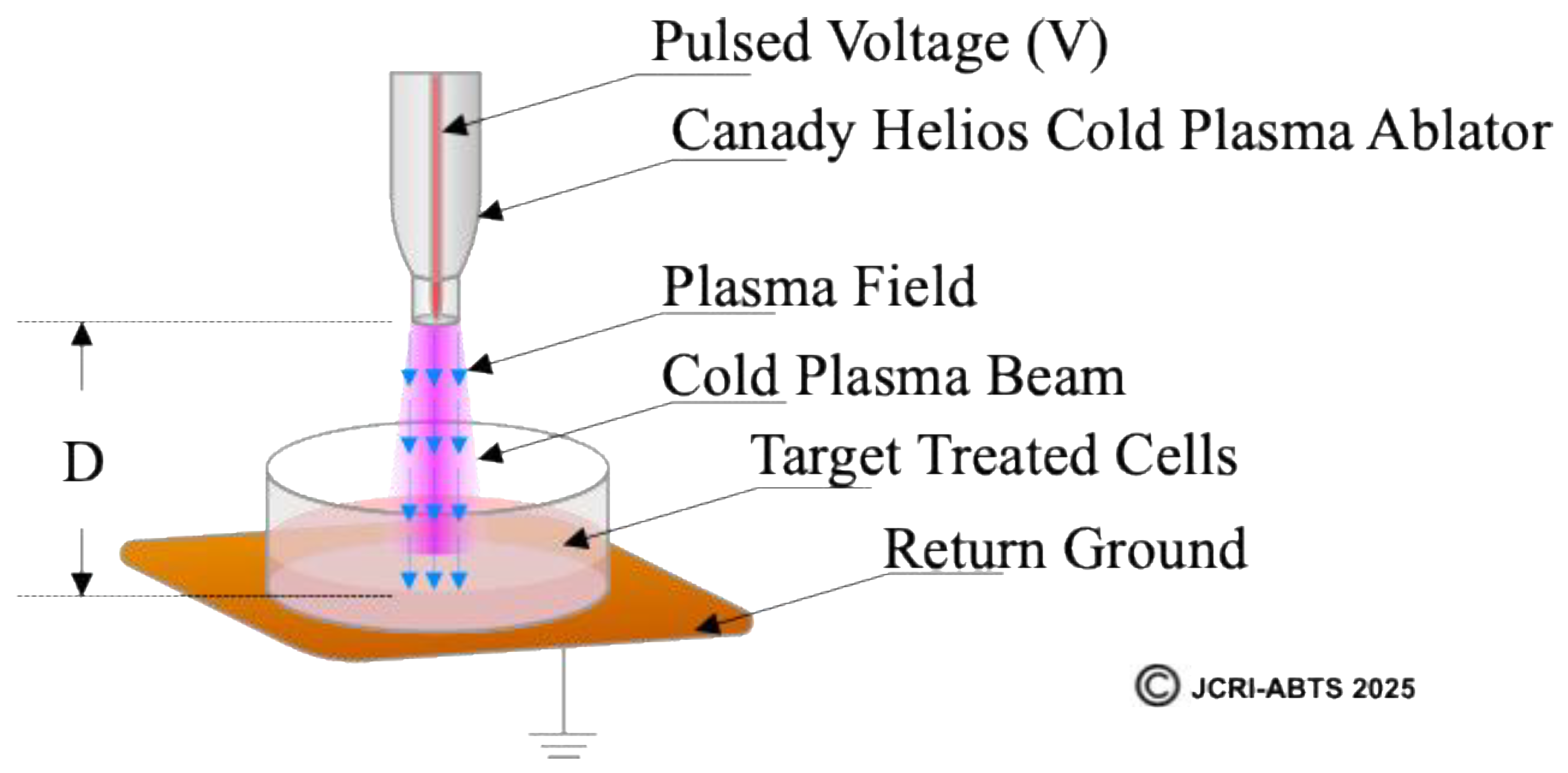 Preprints 178603 g002
