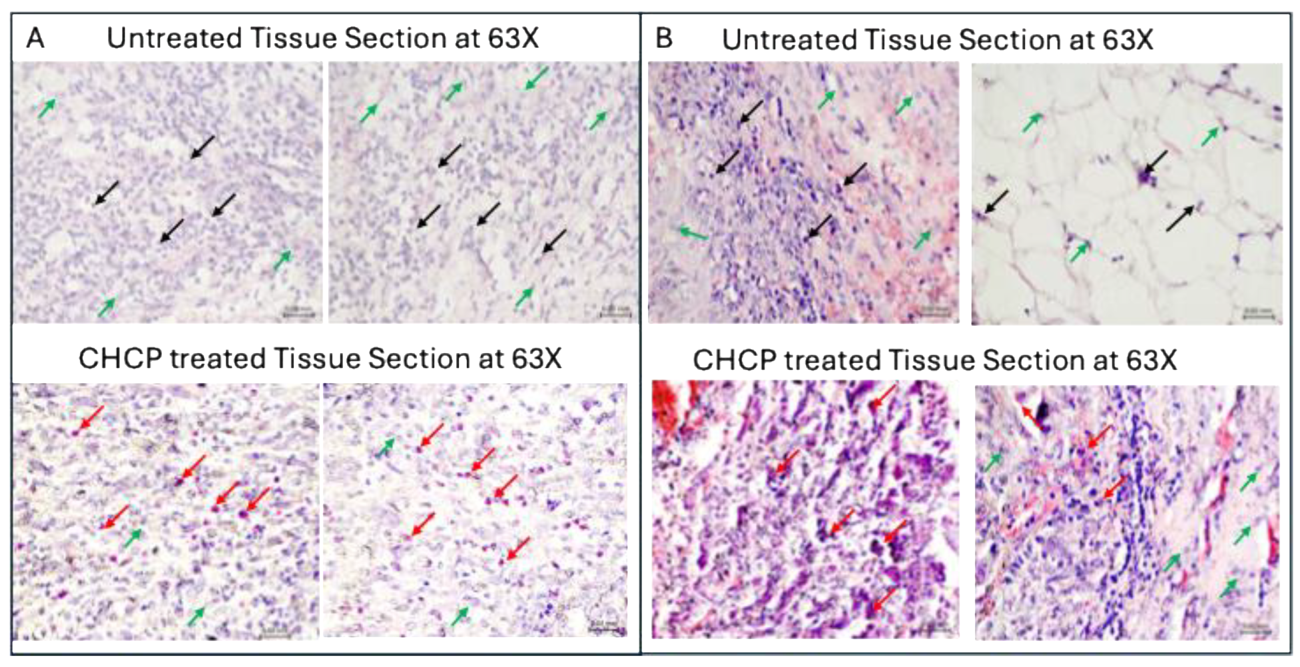 Preprints 178603 g010