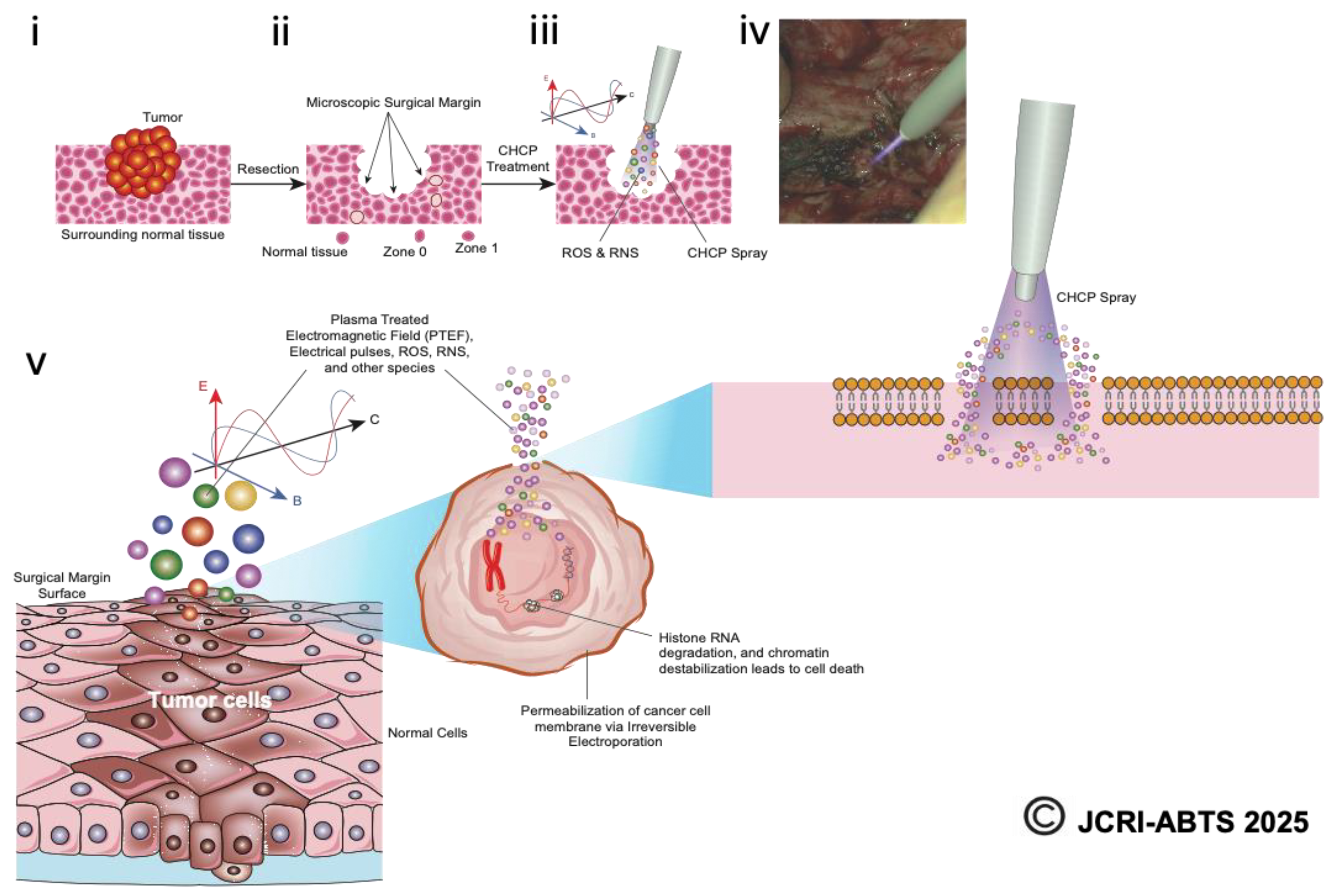 Preprints 178603 g011
