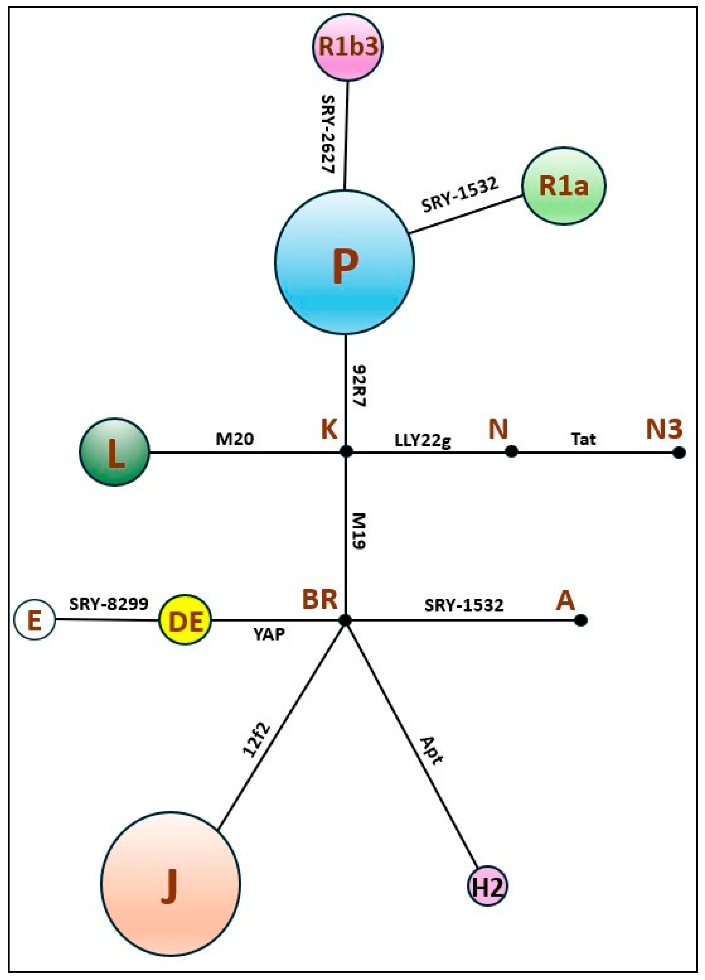 Preprints 209054 g002