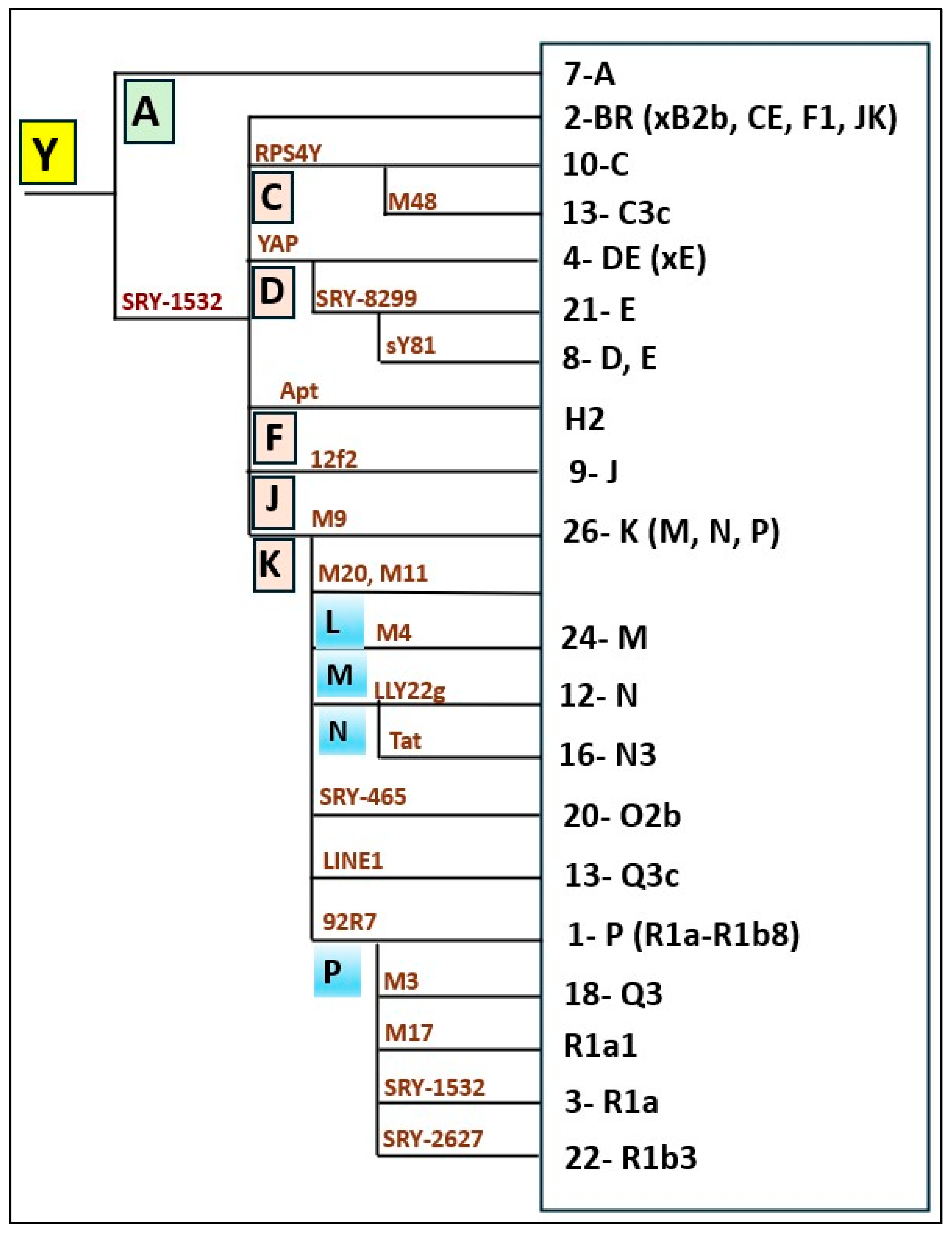 Preprints 209054 g003