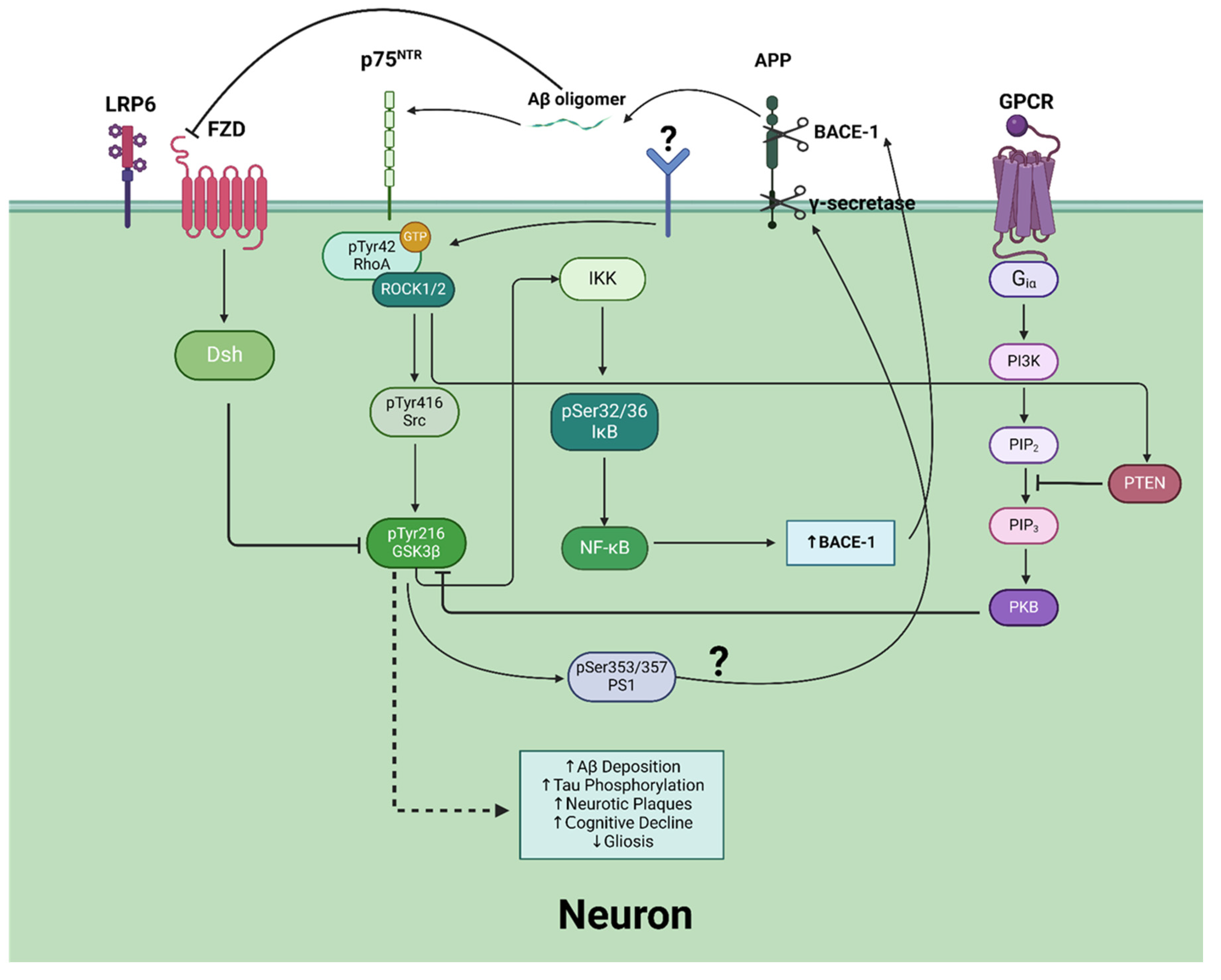 Preprints 146604 g002