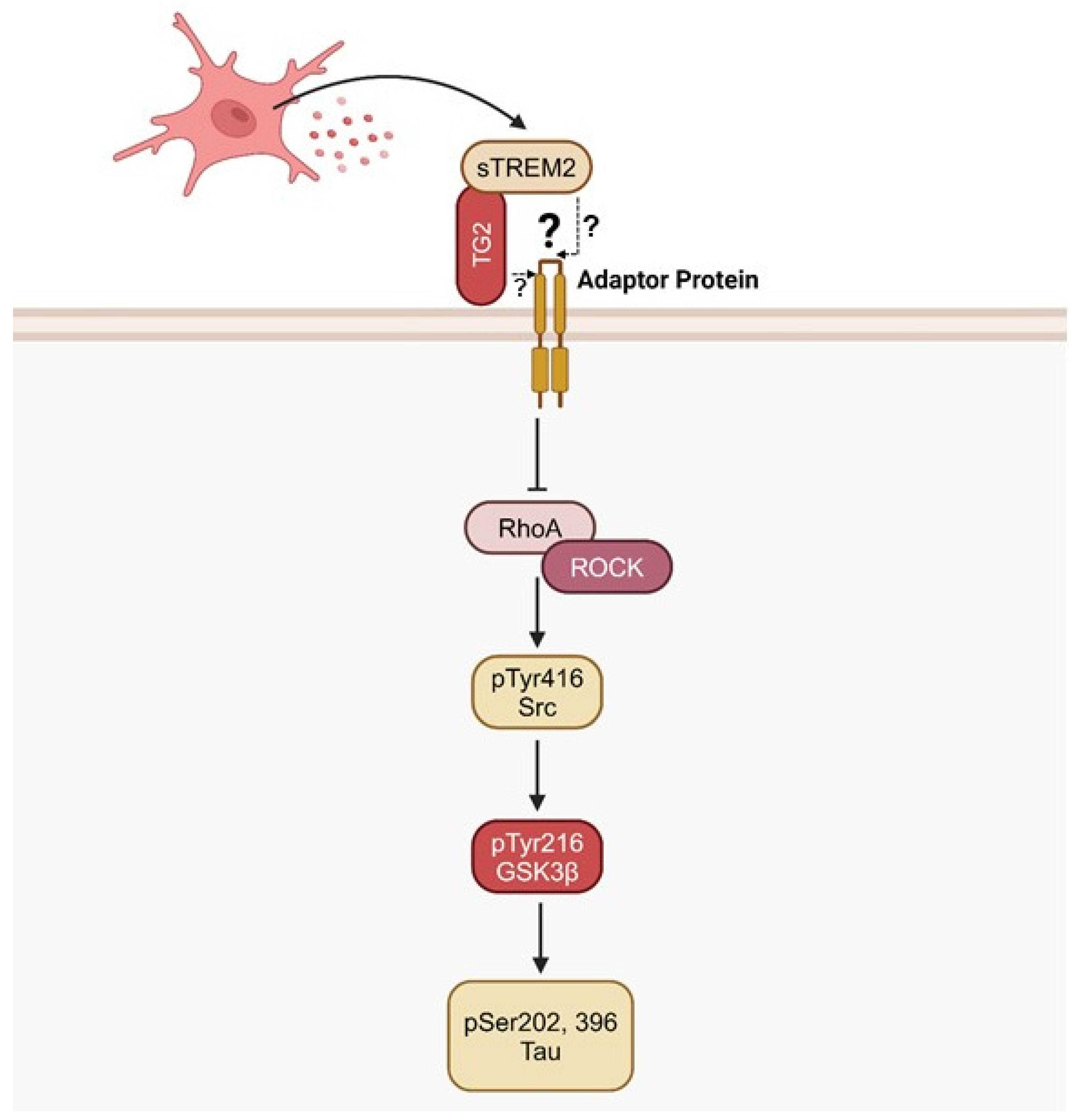 Preprints 146604 g003