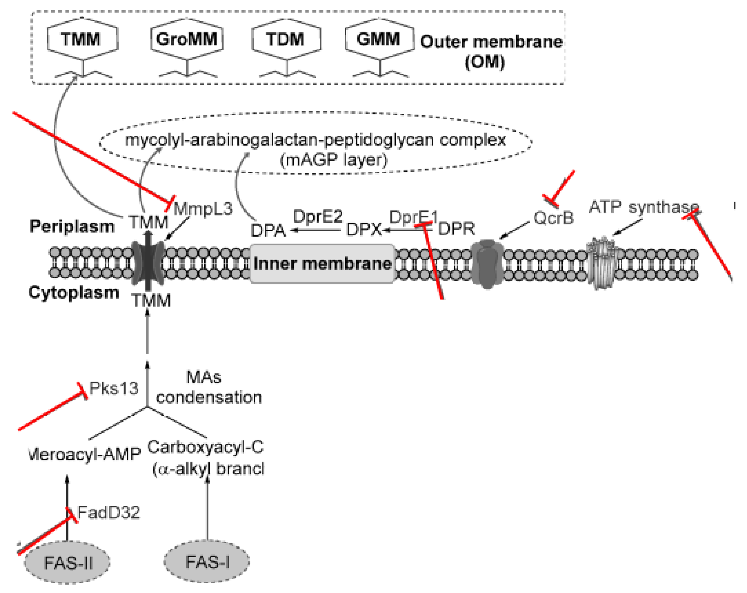 Preprints 155530 g001