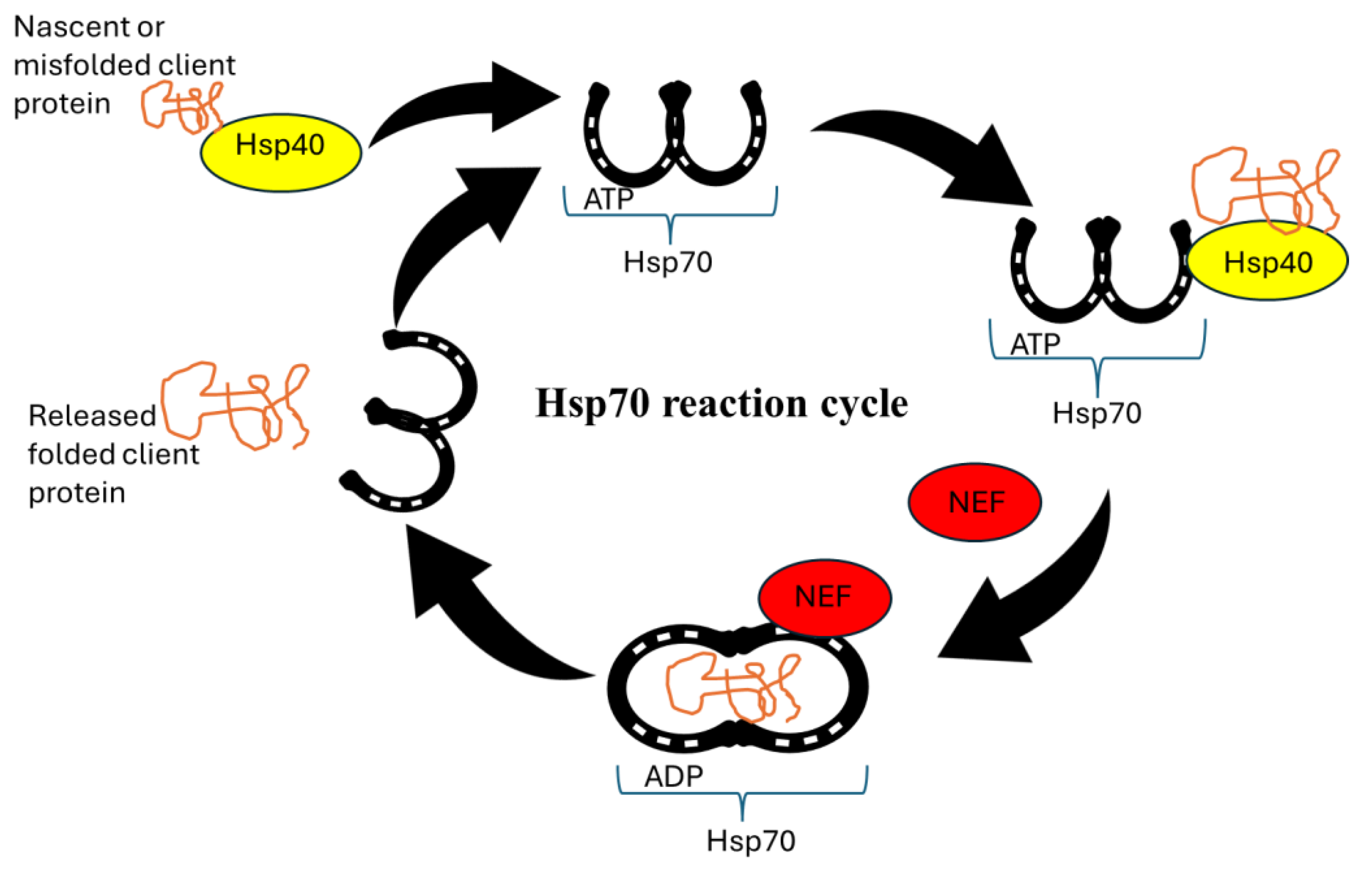 Preprints 155530 g002