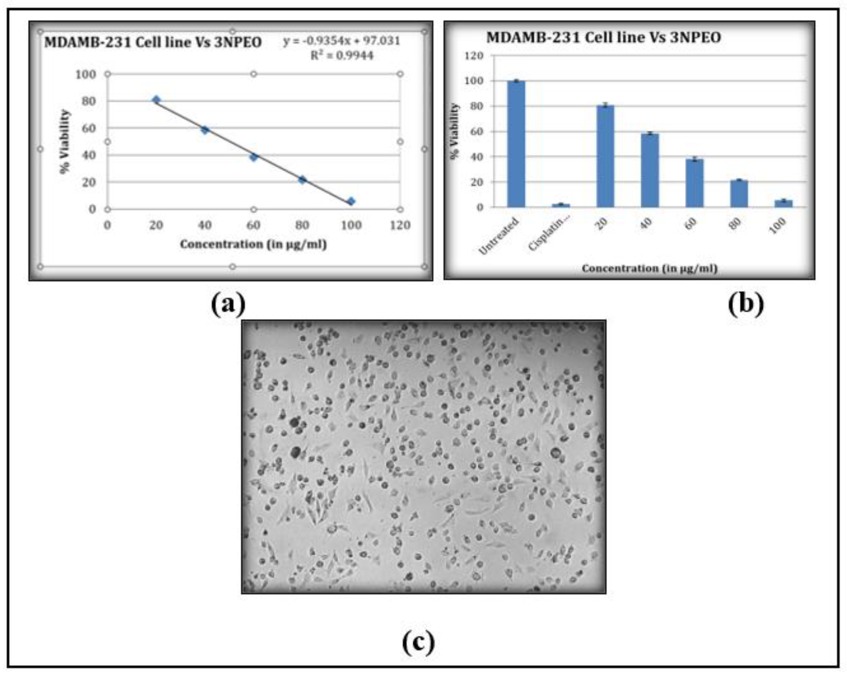 Preprints 158407 g020