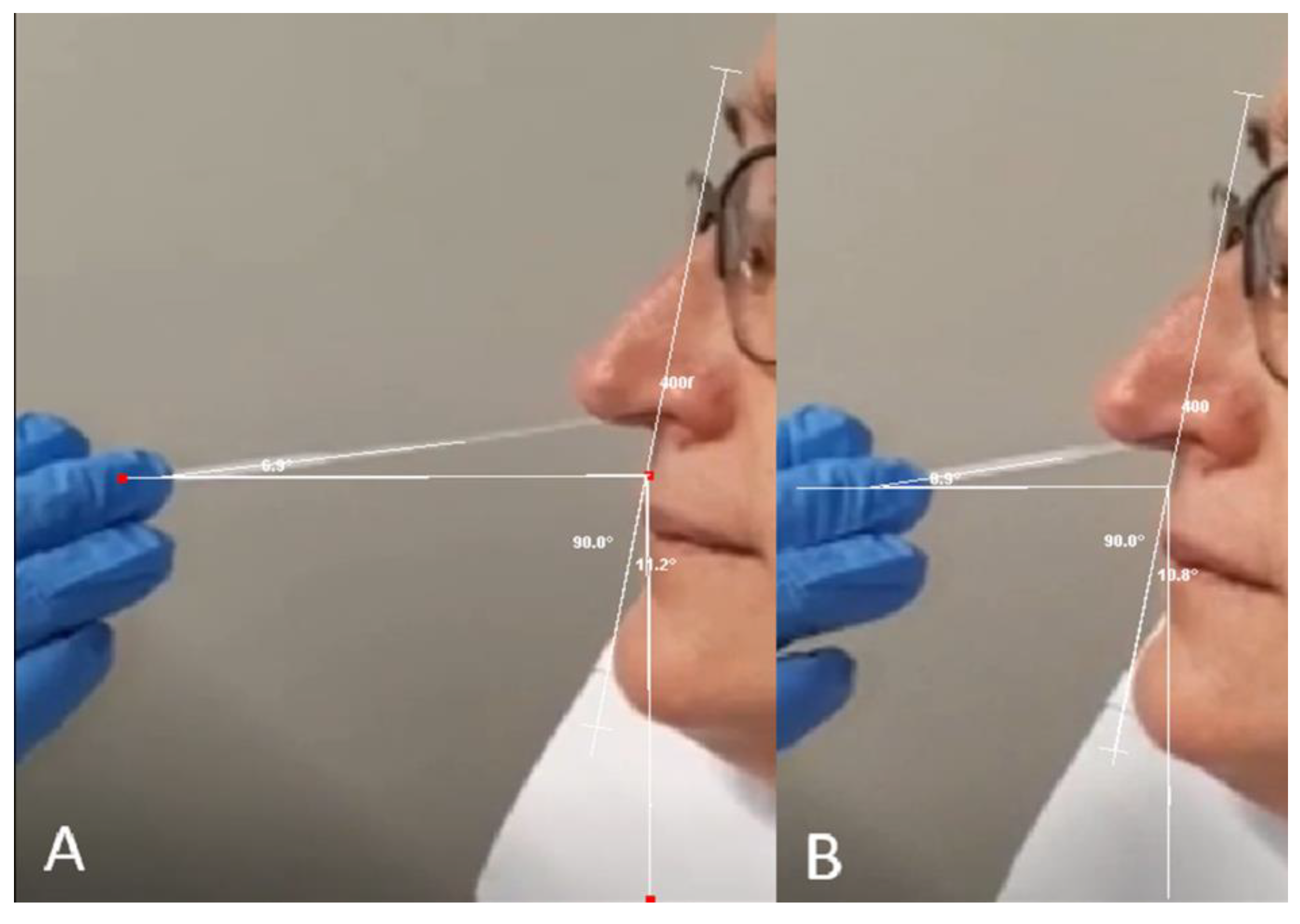 Preprints 192410 g001