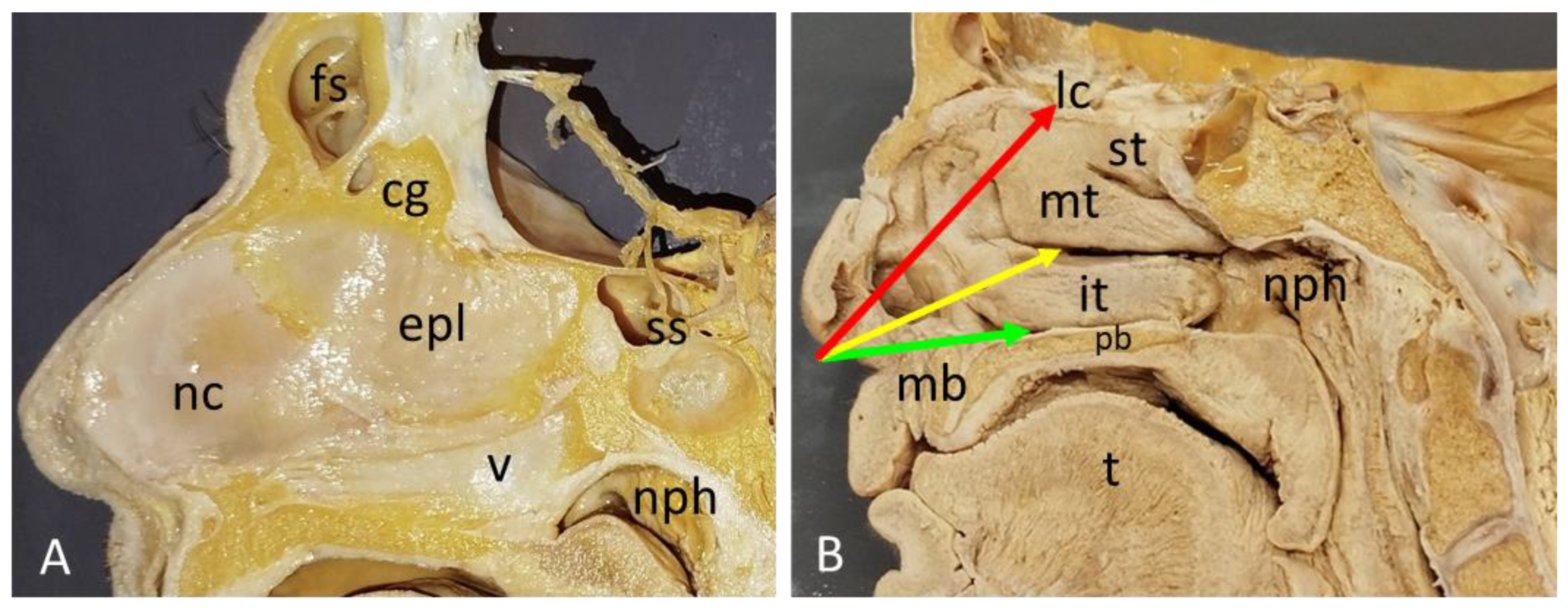 Preprints 192410 g002