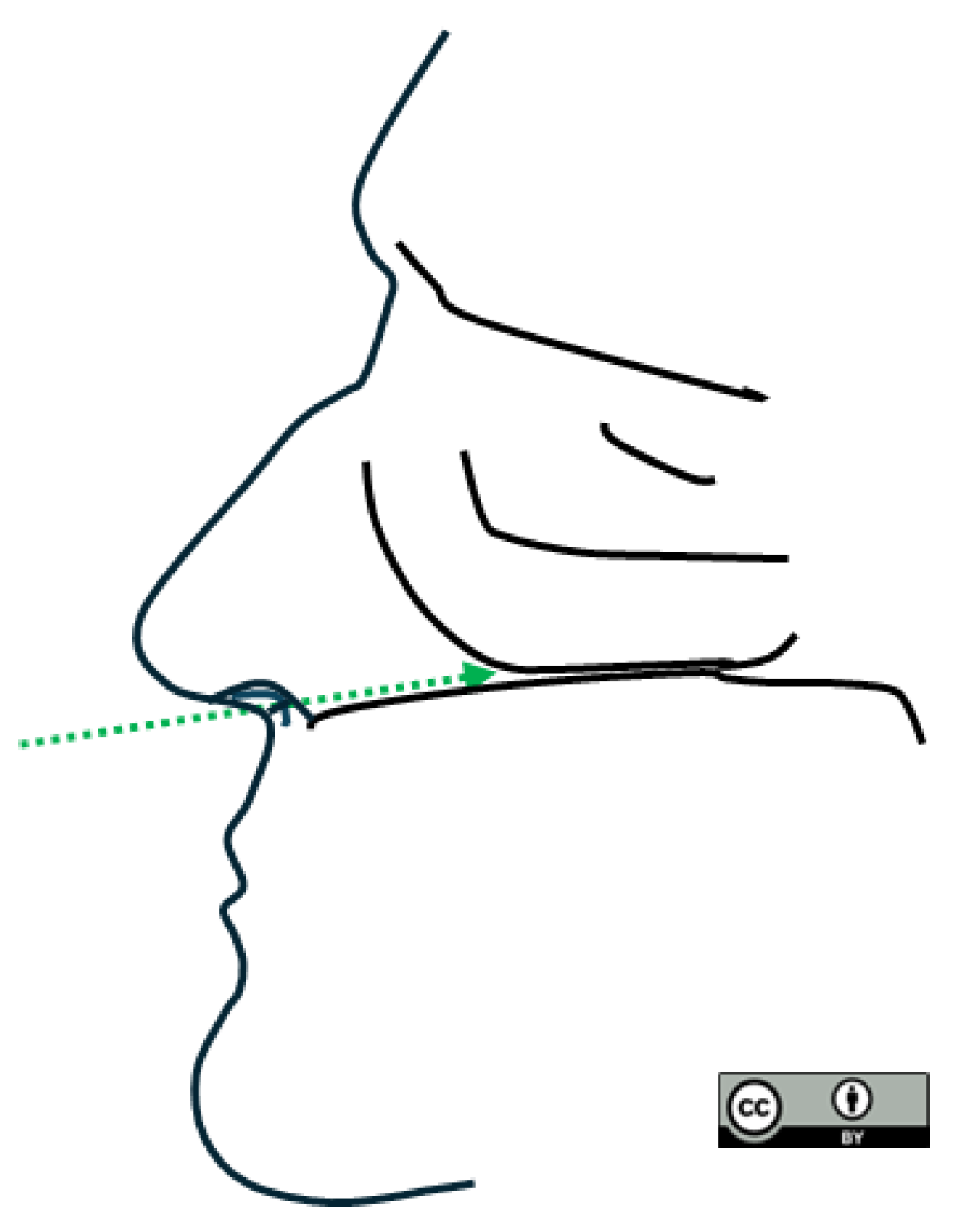 Preprints 192410 g004