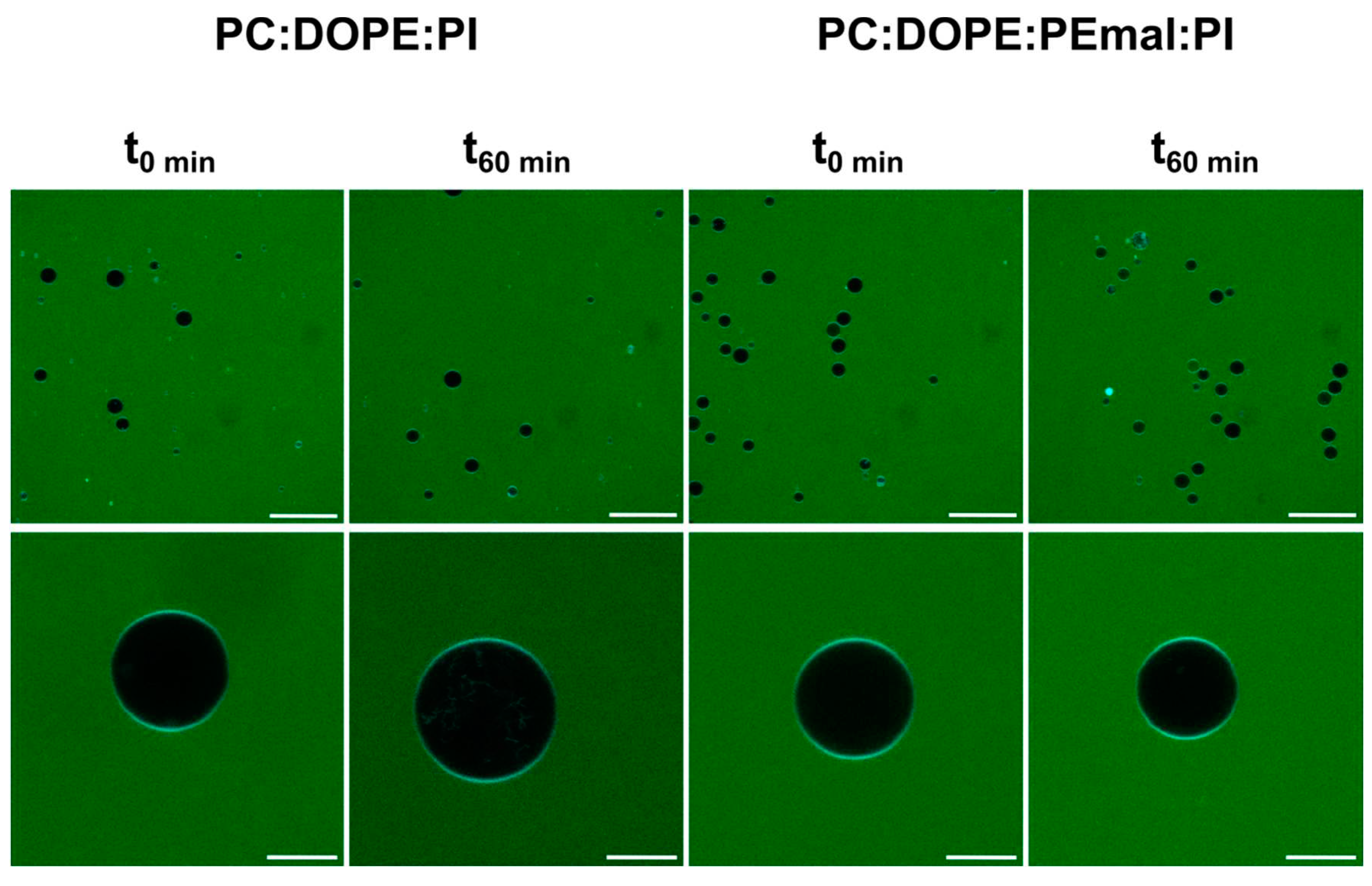 Preprints 88555 g007