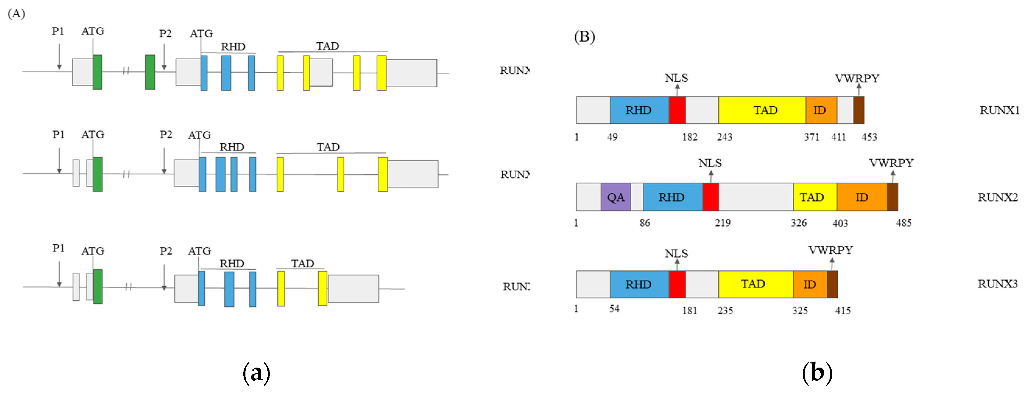 Preprints 80747 g001