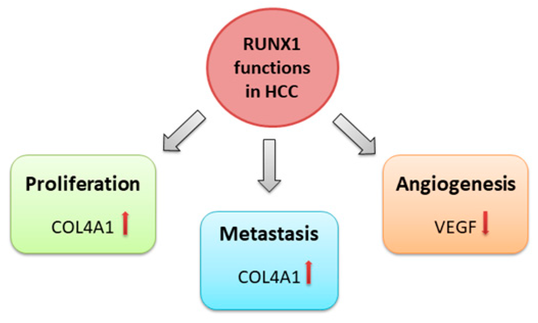 Preprints 80747 g002
