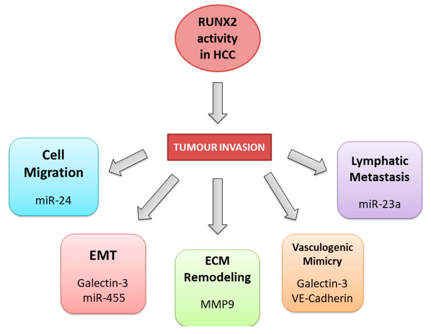 Preprints 80747 g003