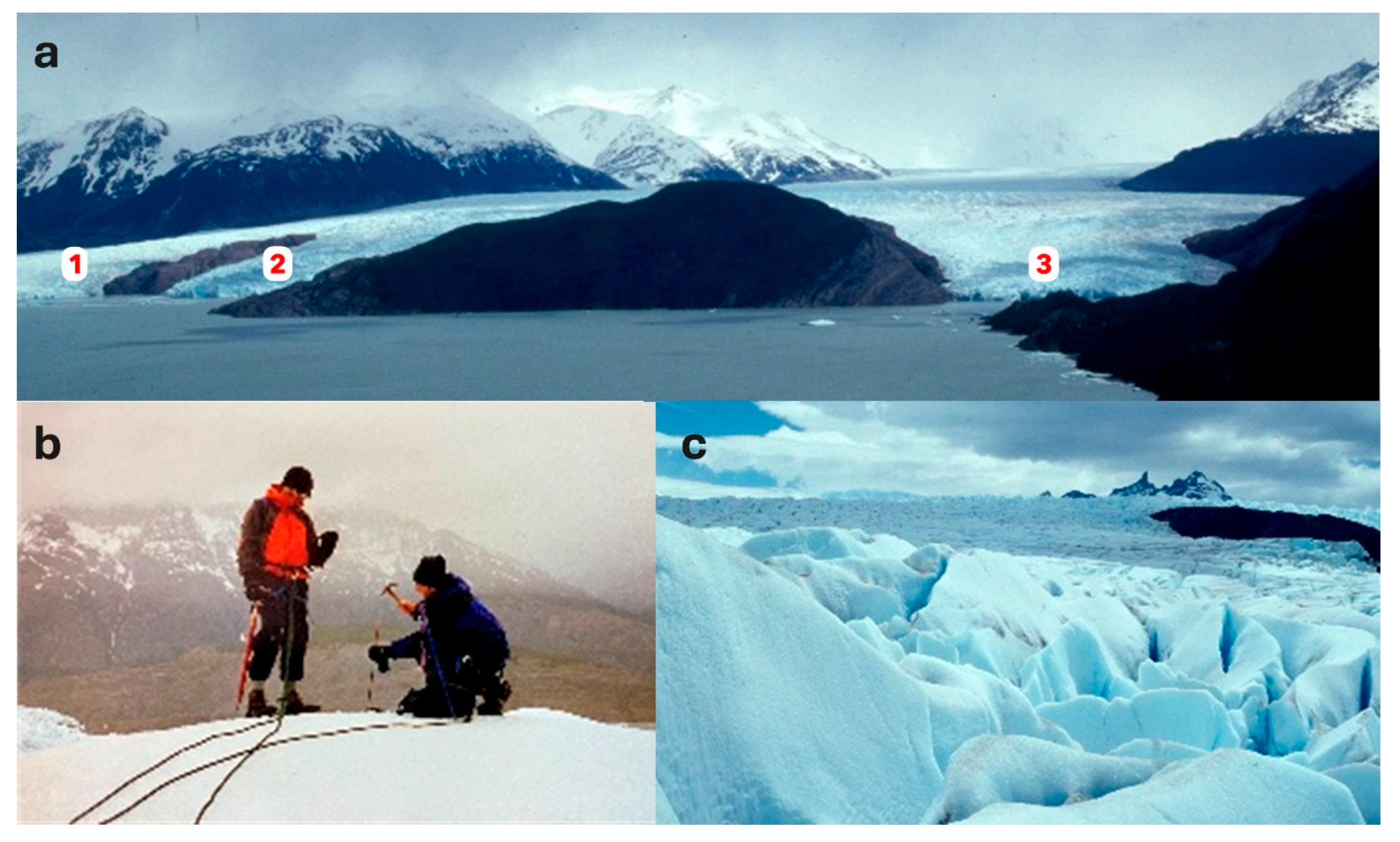 Preprints 173418 g003