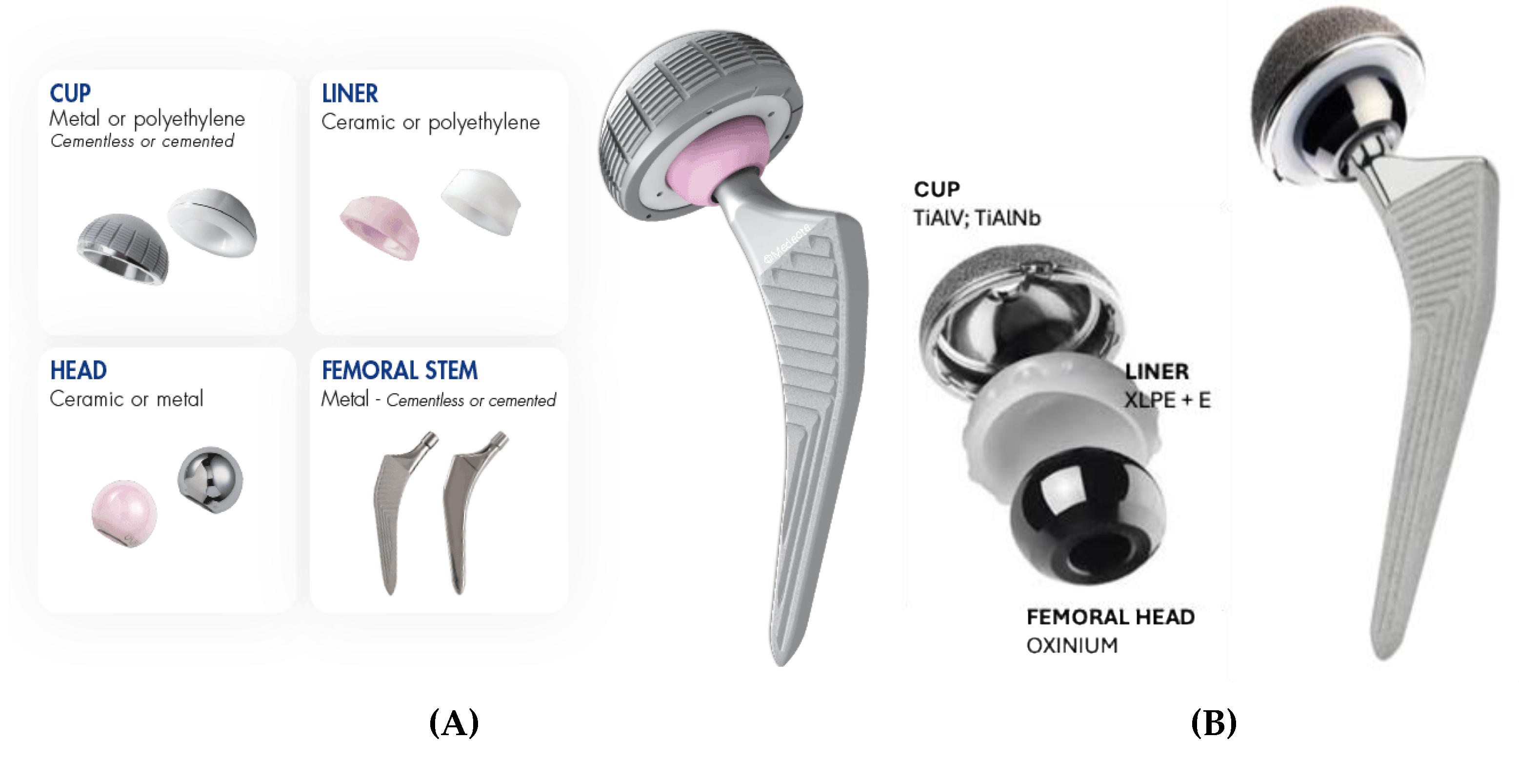 Preprints 171222 g001