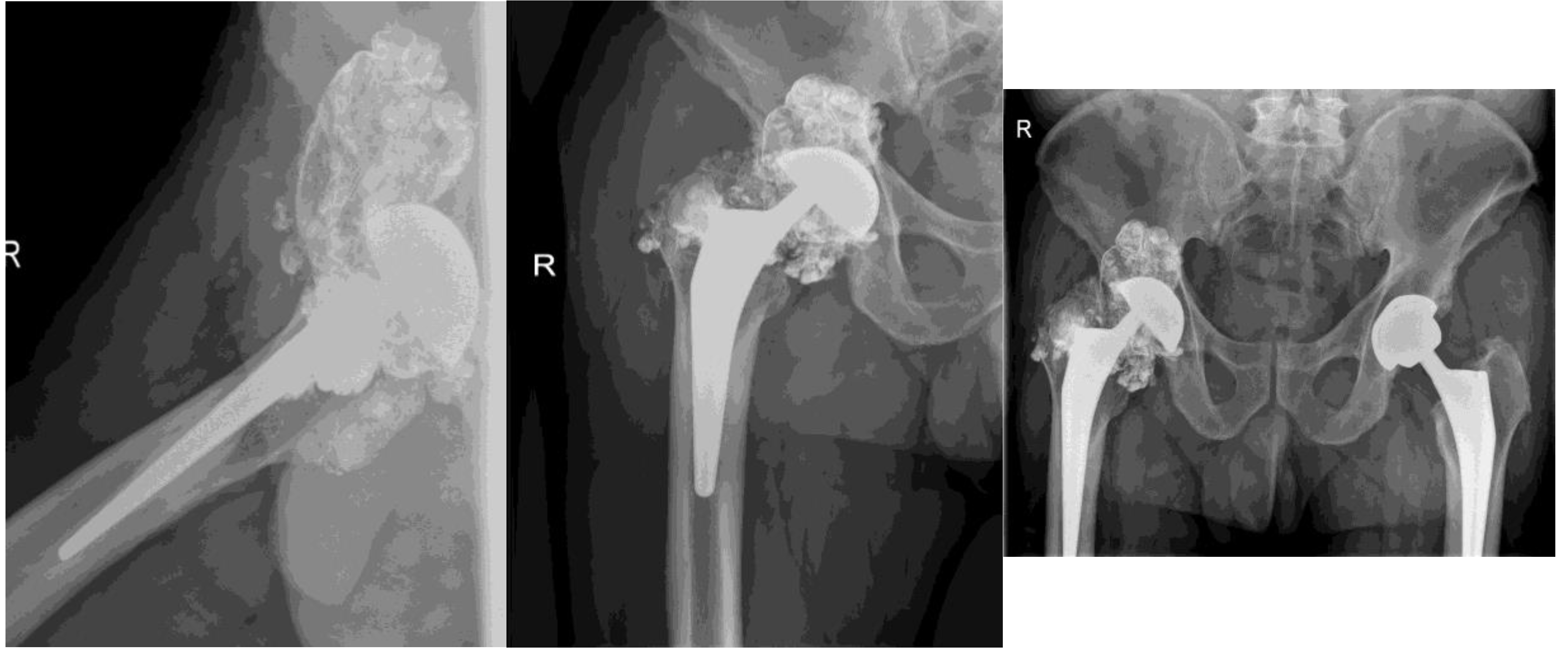 Preprints 171222 g004