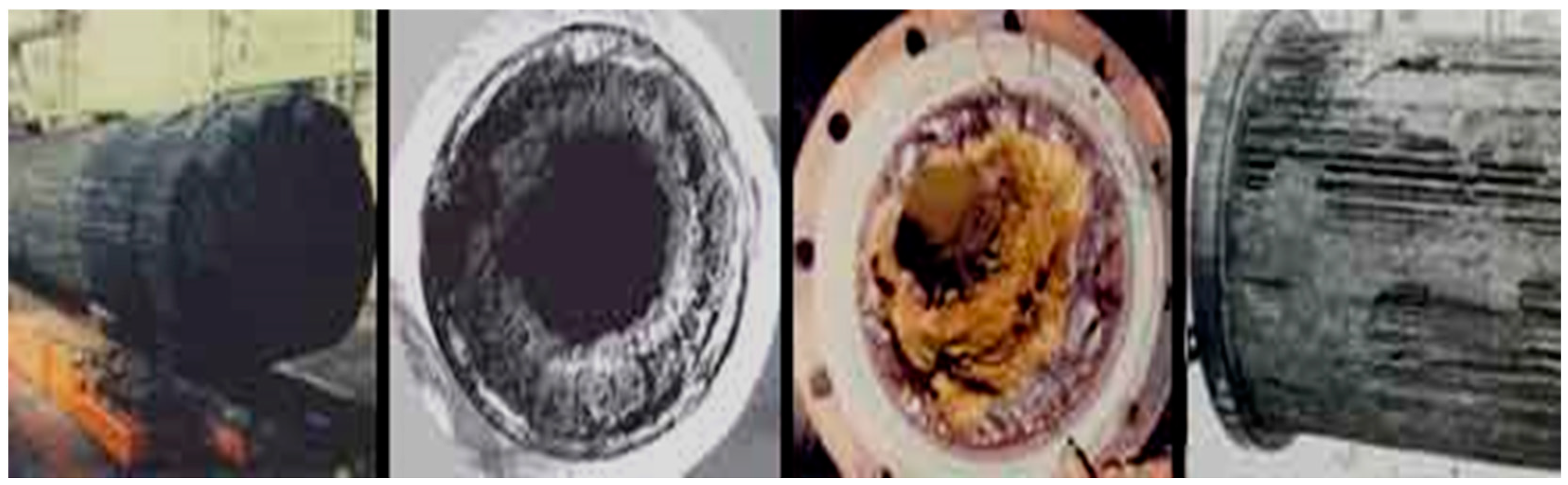 Preprints 151594 g001