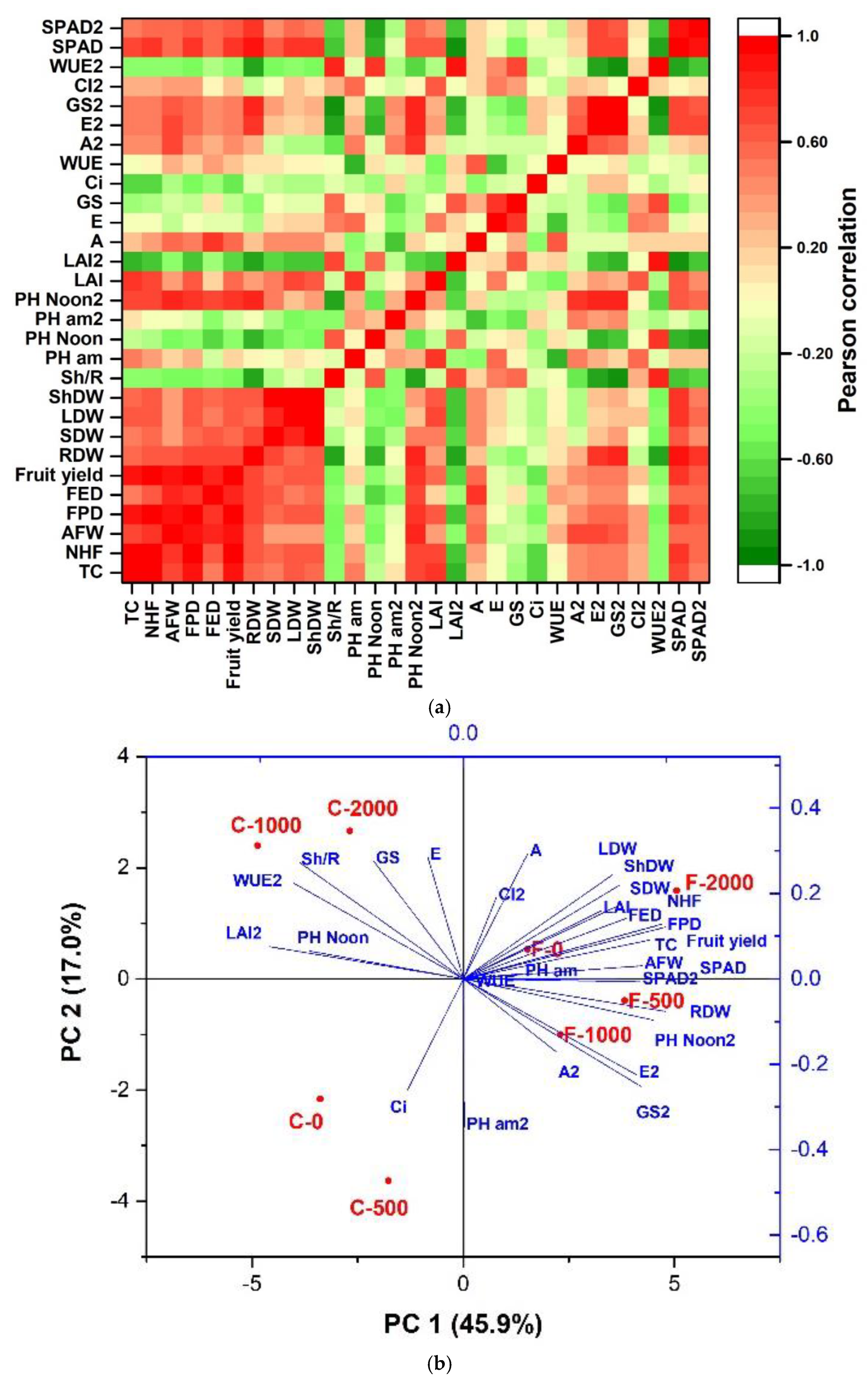 Preprints 158617 g006