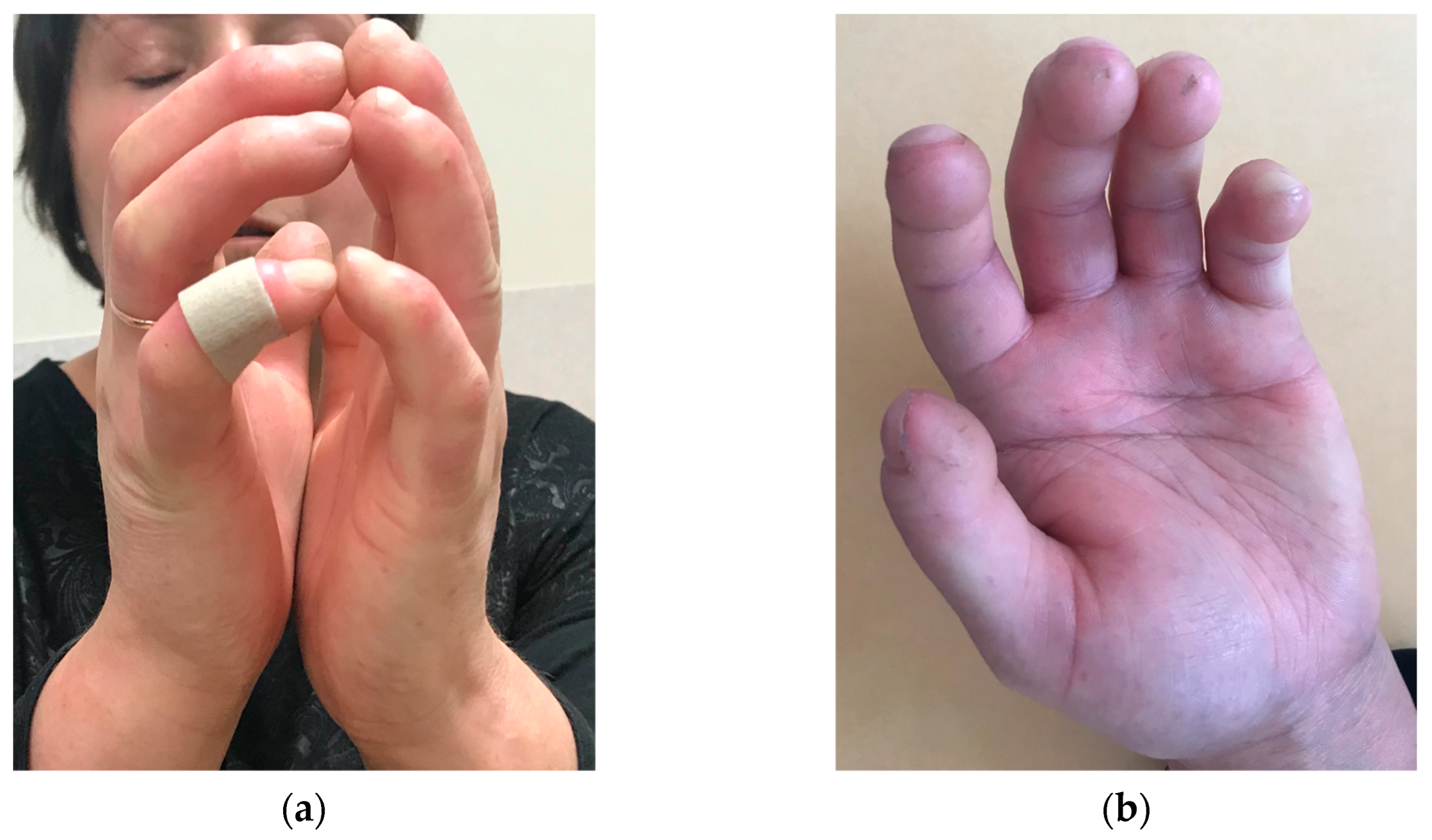 Preprints 94274 g001