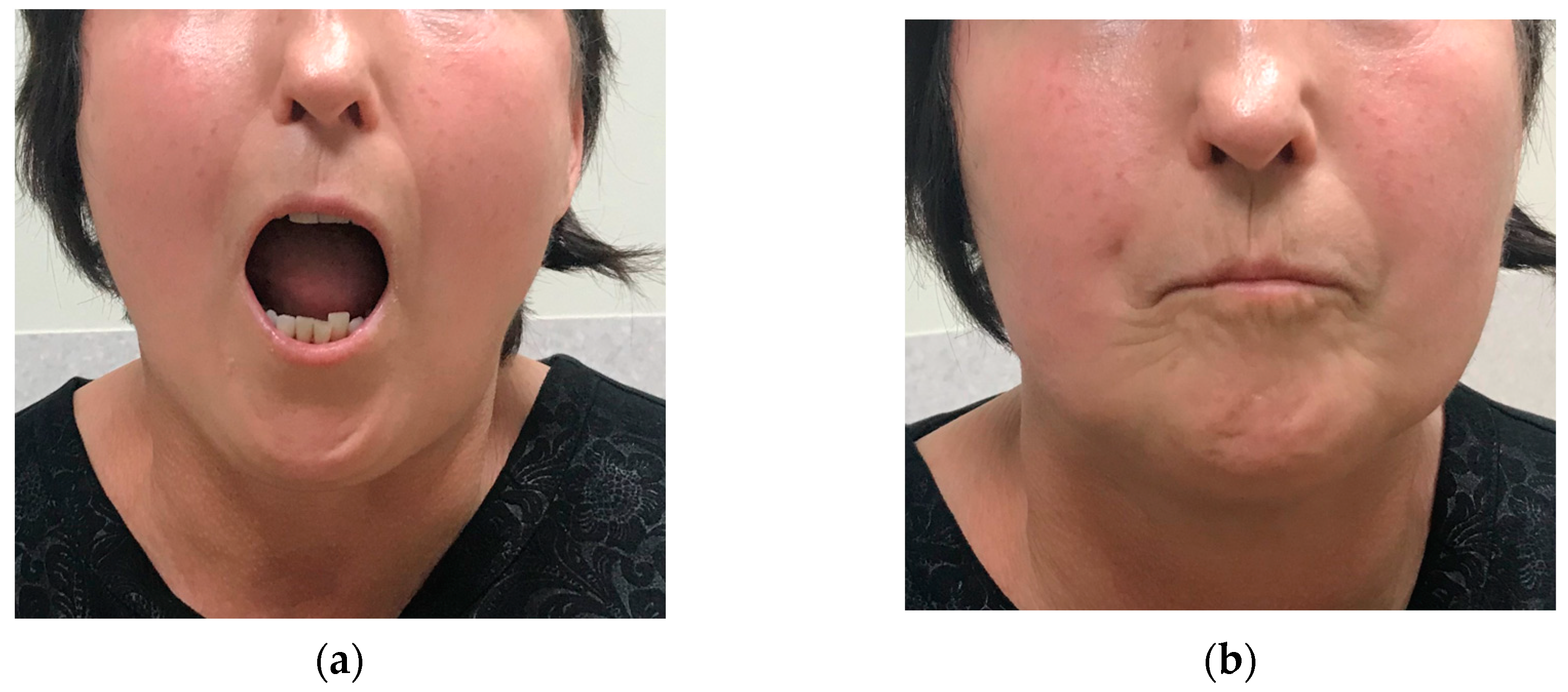 Preprints 94274 g002