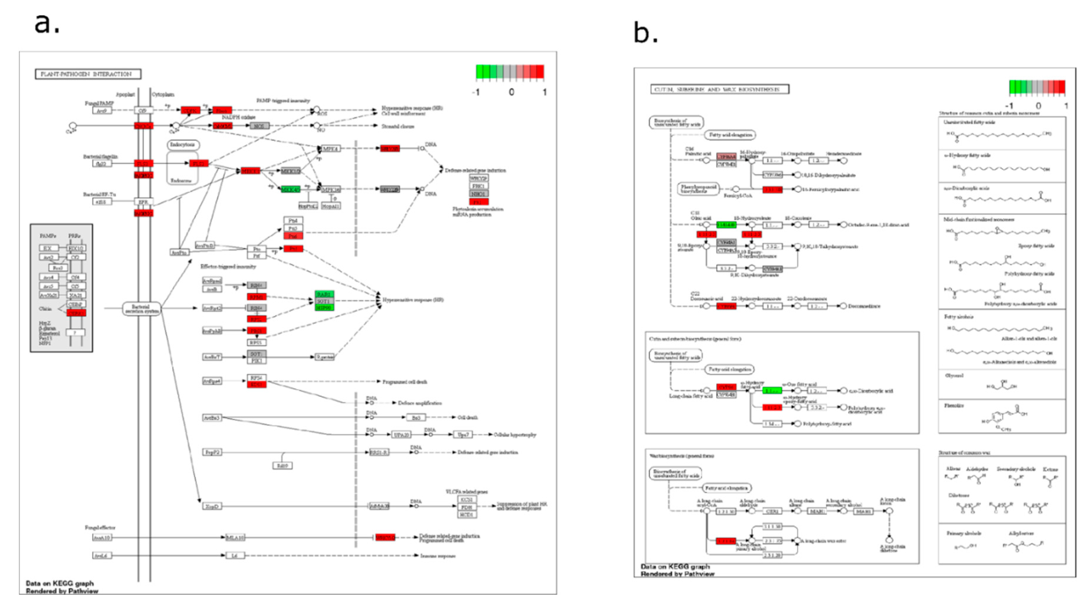 Preprints 192814 g009