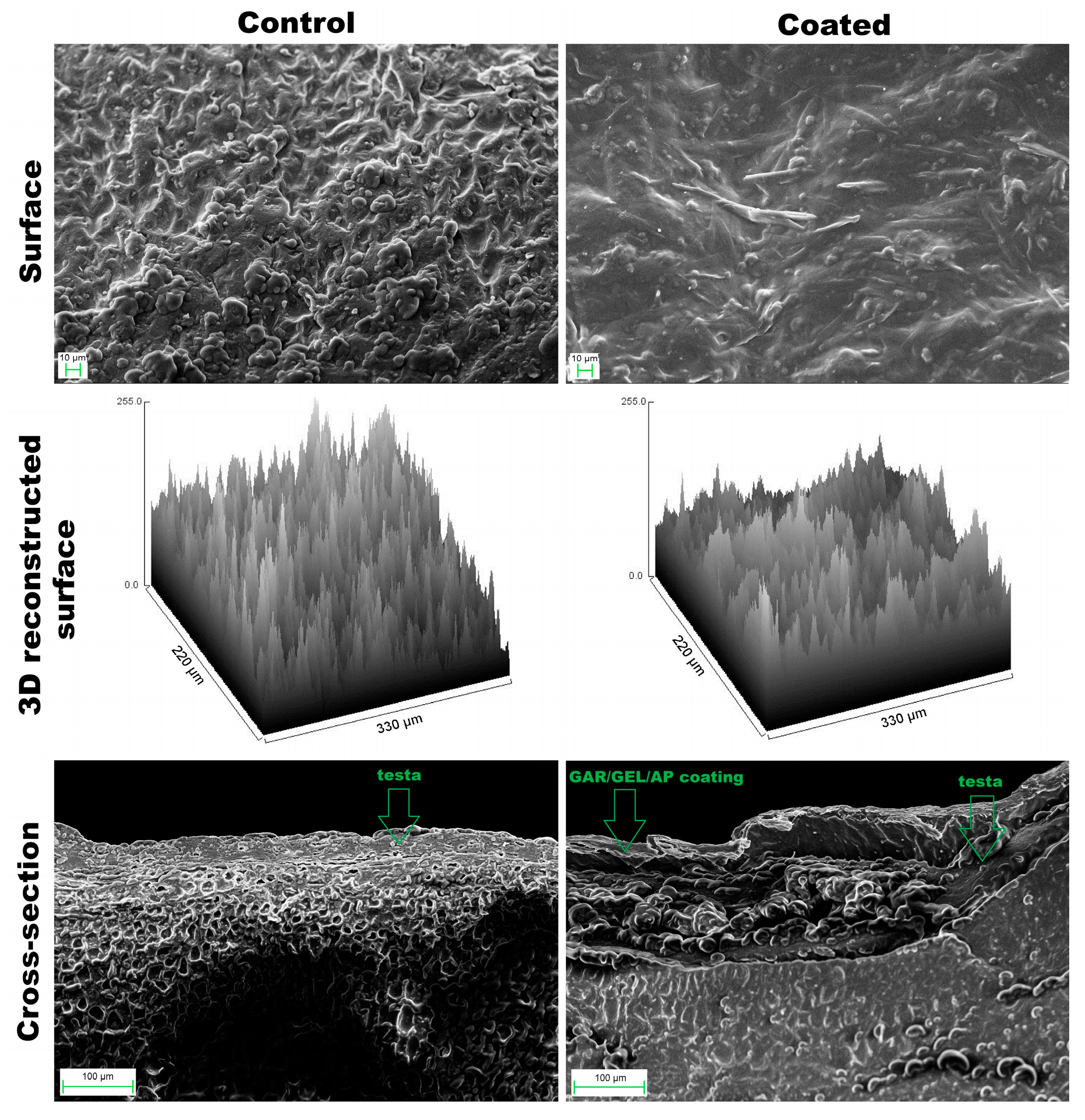 Preprints 173507 g002