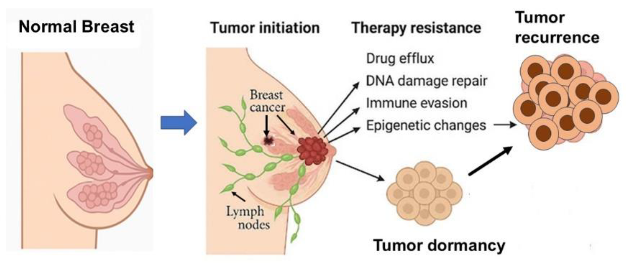 Preprints 170109 g001