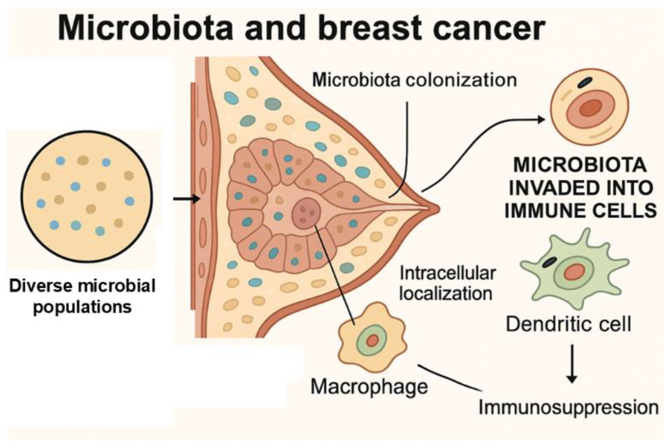 Preprints 170109 g004