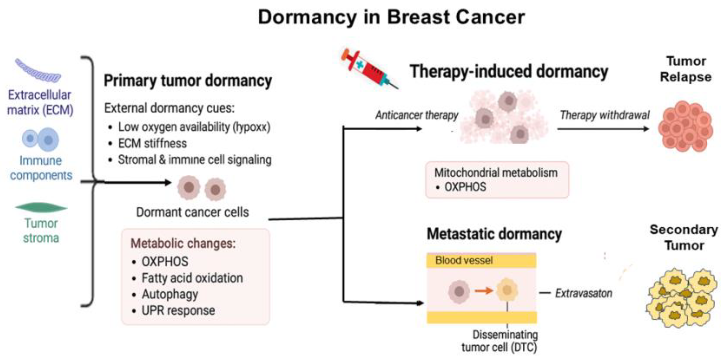 Preprints 170109 g006